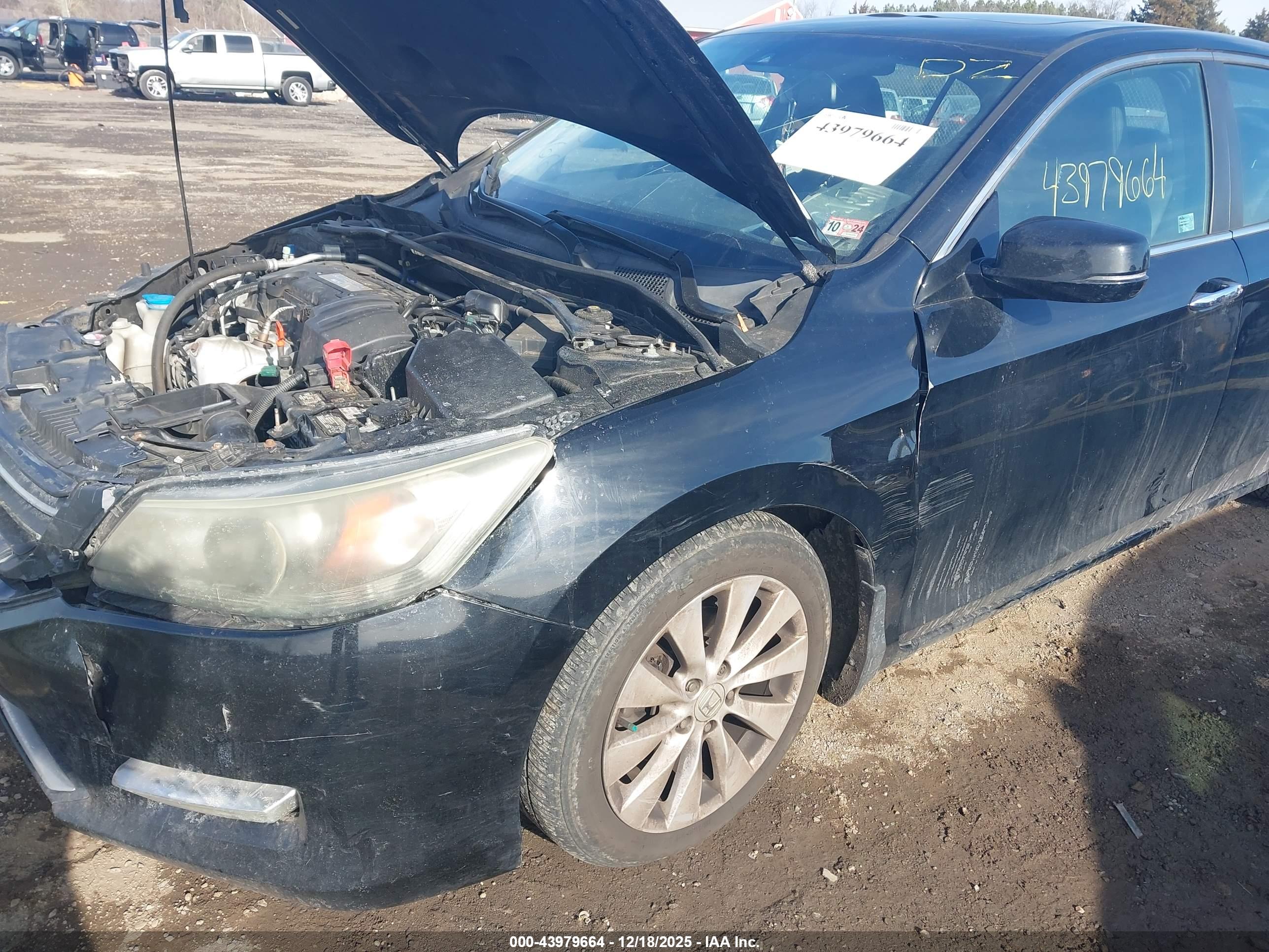 HONDA ACCORD image 6