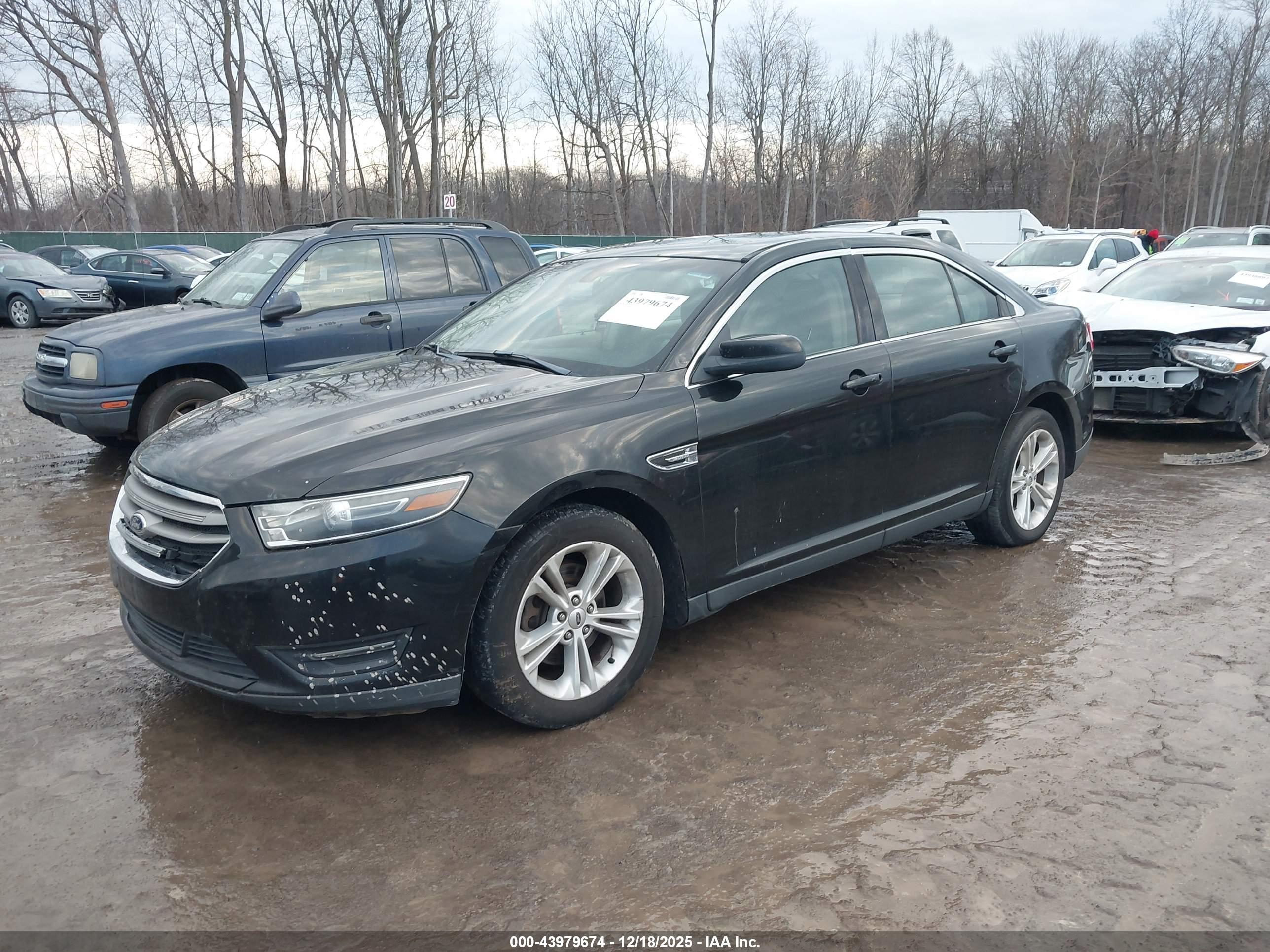 FORD TAURUS image 2