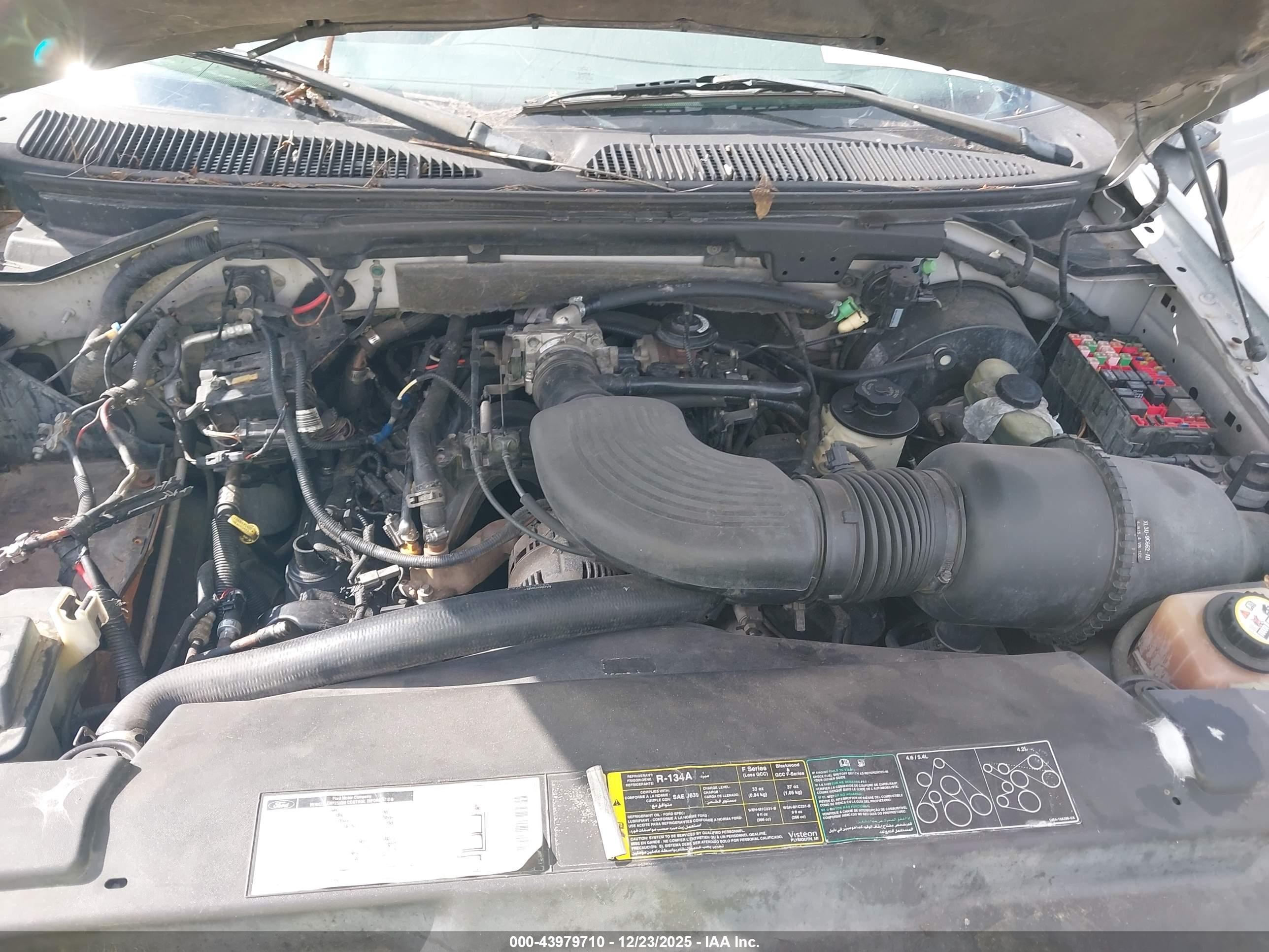 FORD F-150 image 10