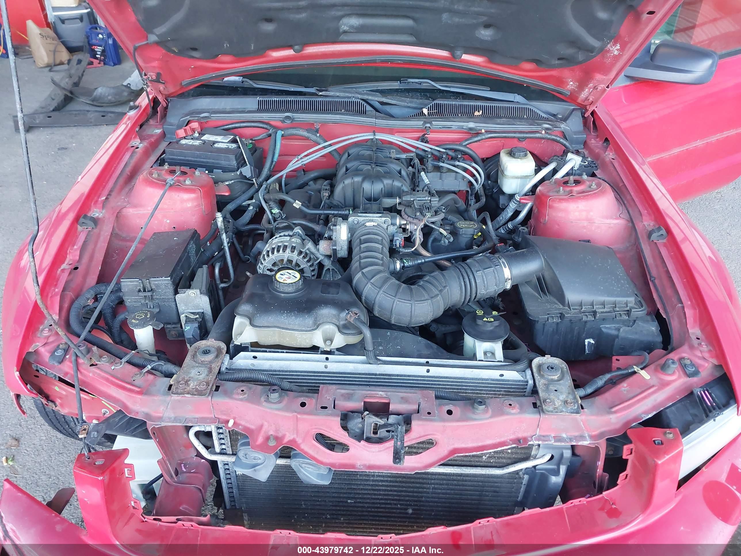 FORD MUSTANG image 10