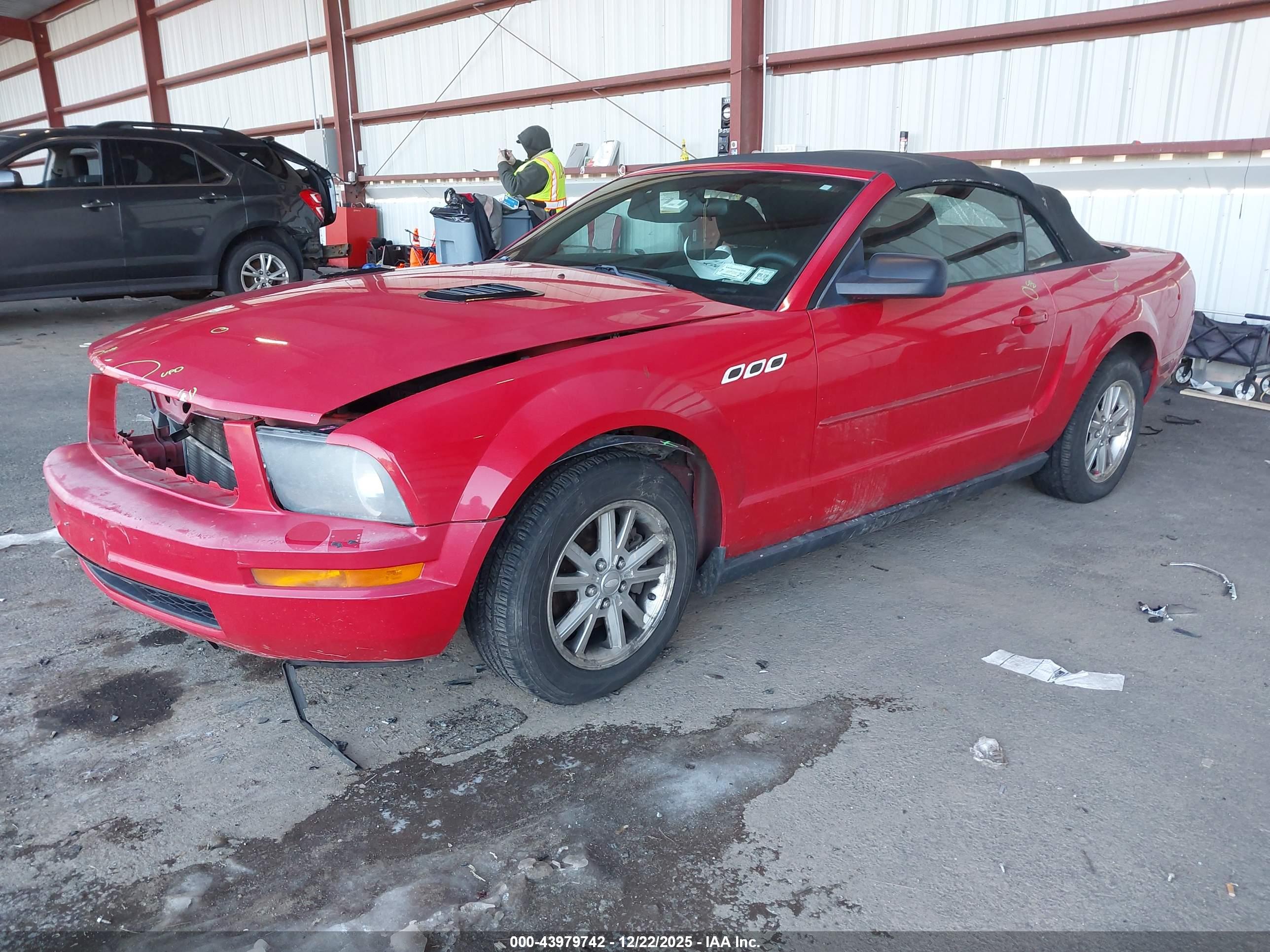 FORD MUSTANG image 2