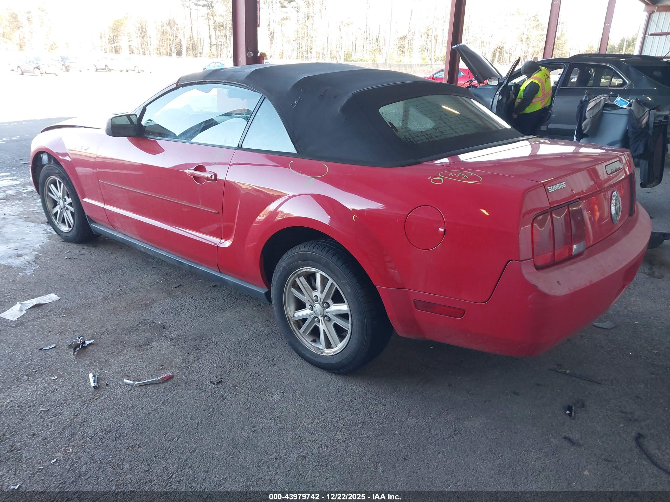FORD MUSTANG image 3