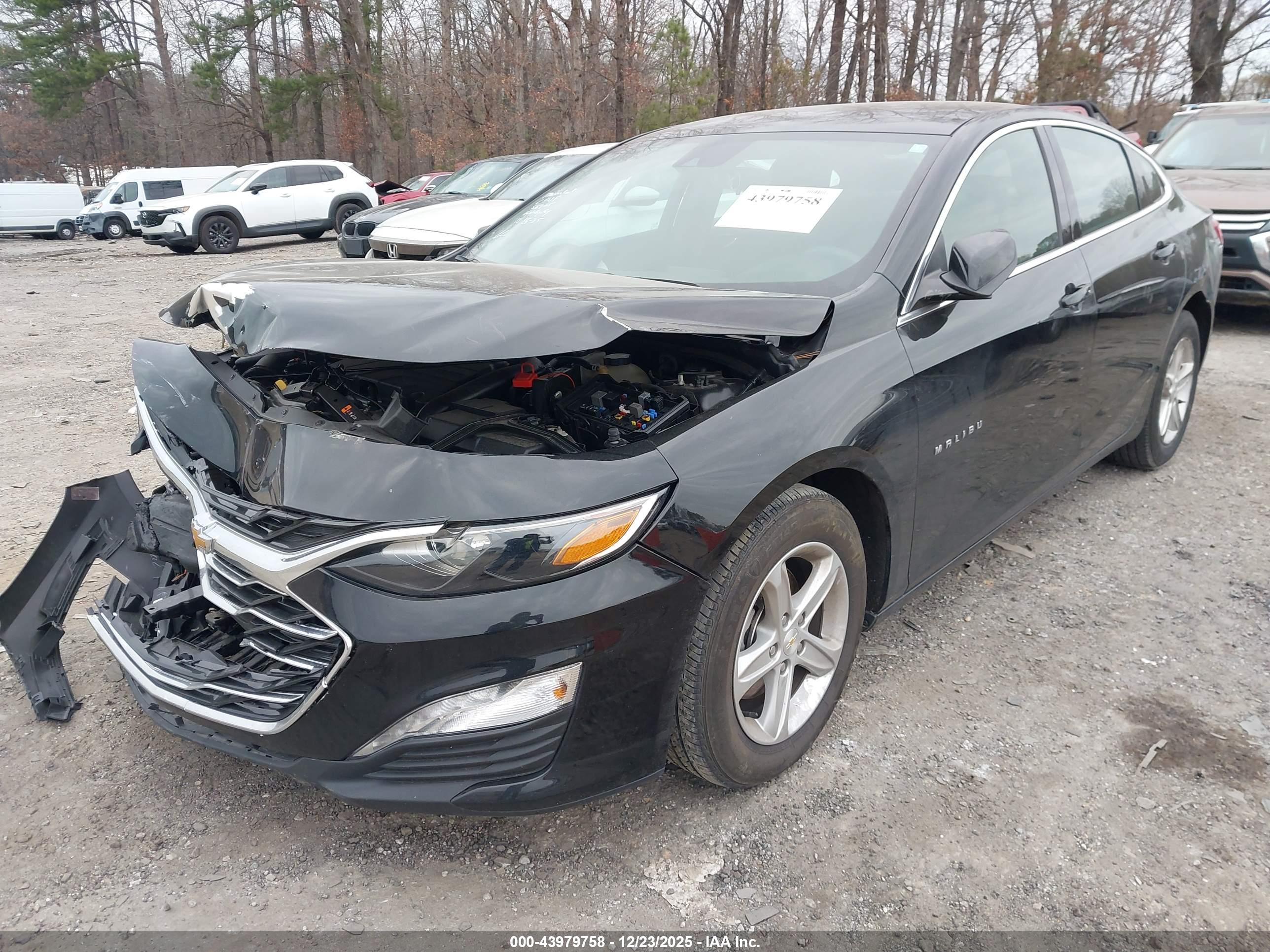 CHEVROLET MALIBU image 2