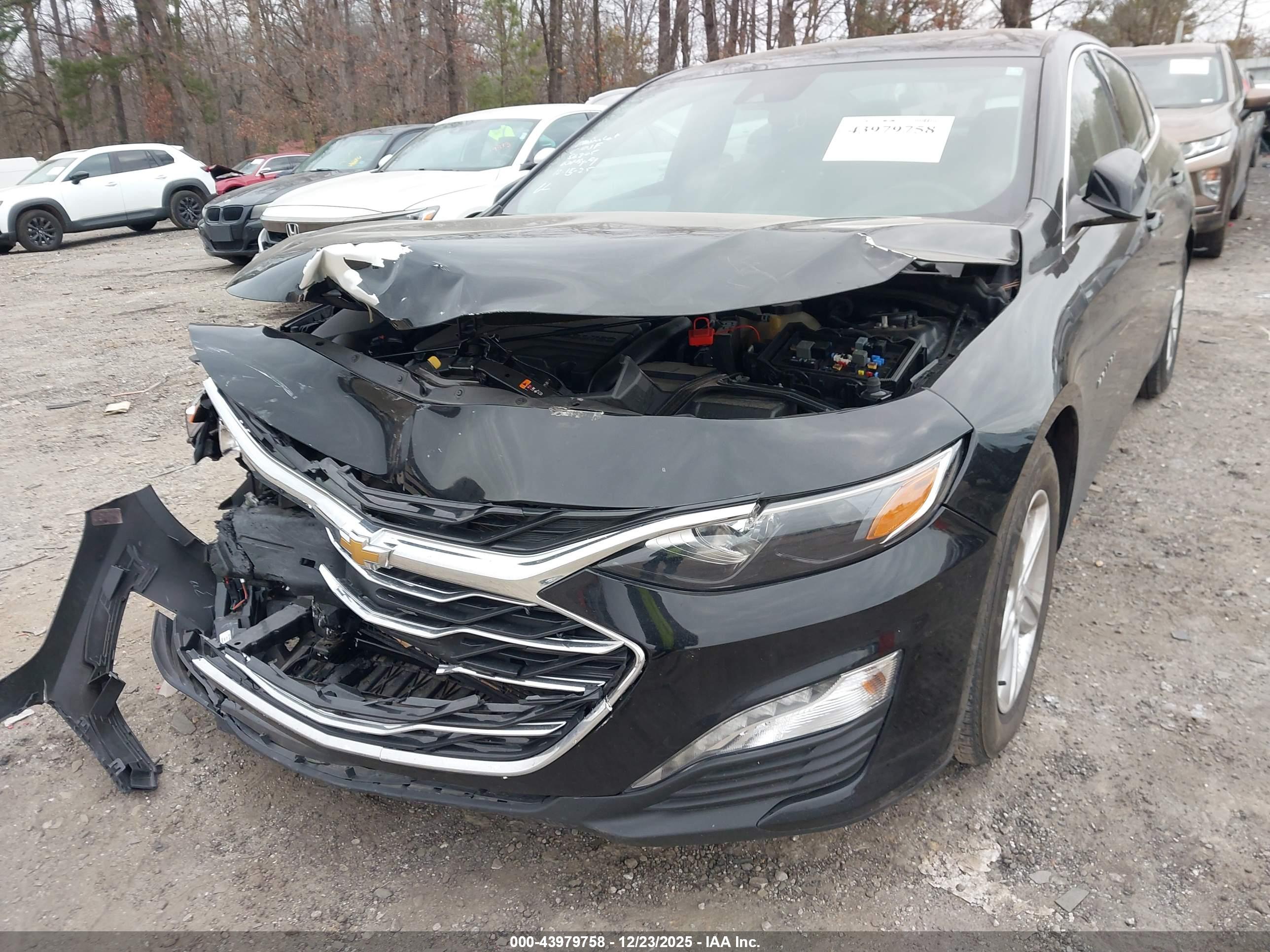 CHEVROLET MALIBU image 6