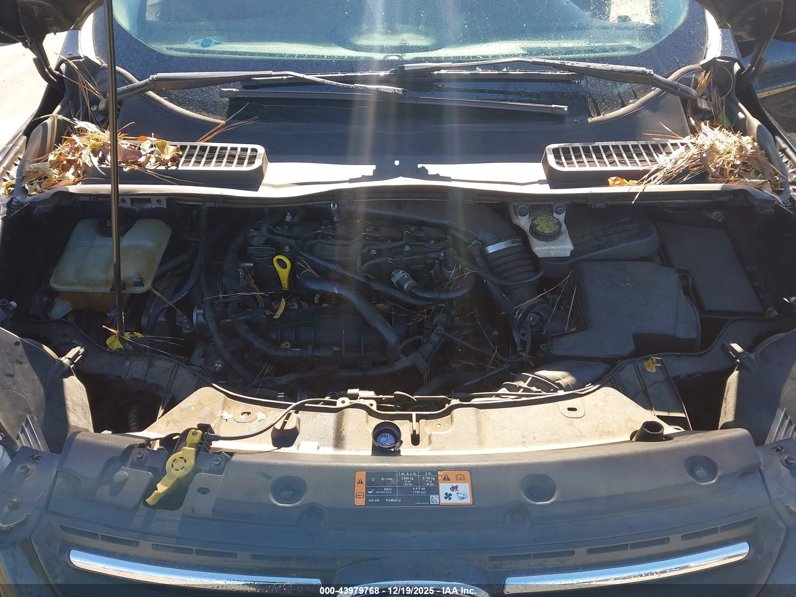 FORD ESCAPE image 10