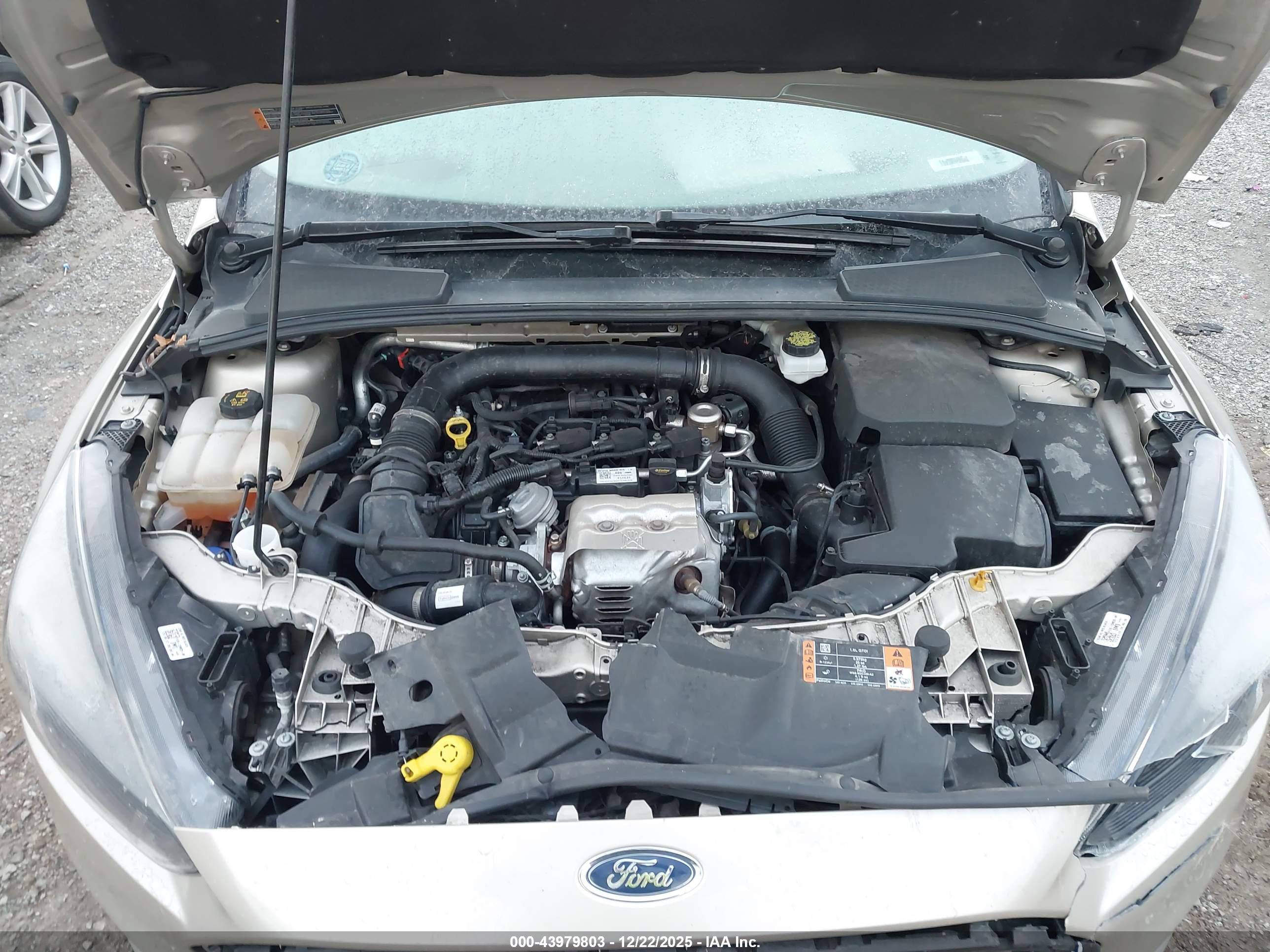 FORD FOCUS image 10