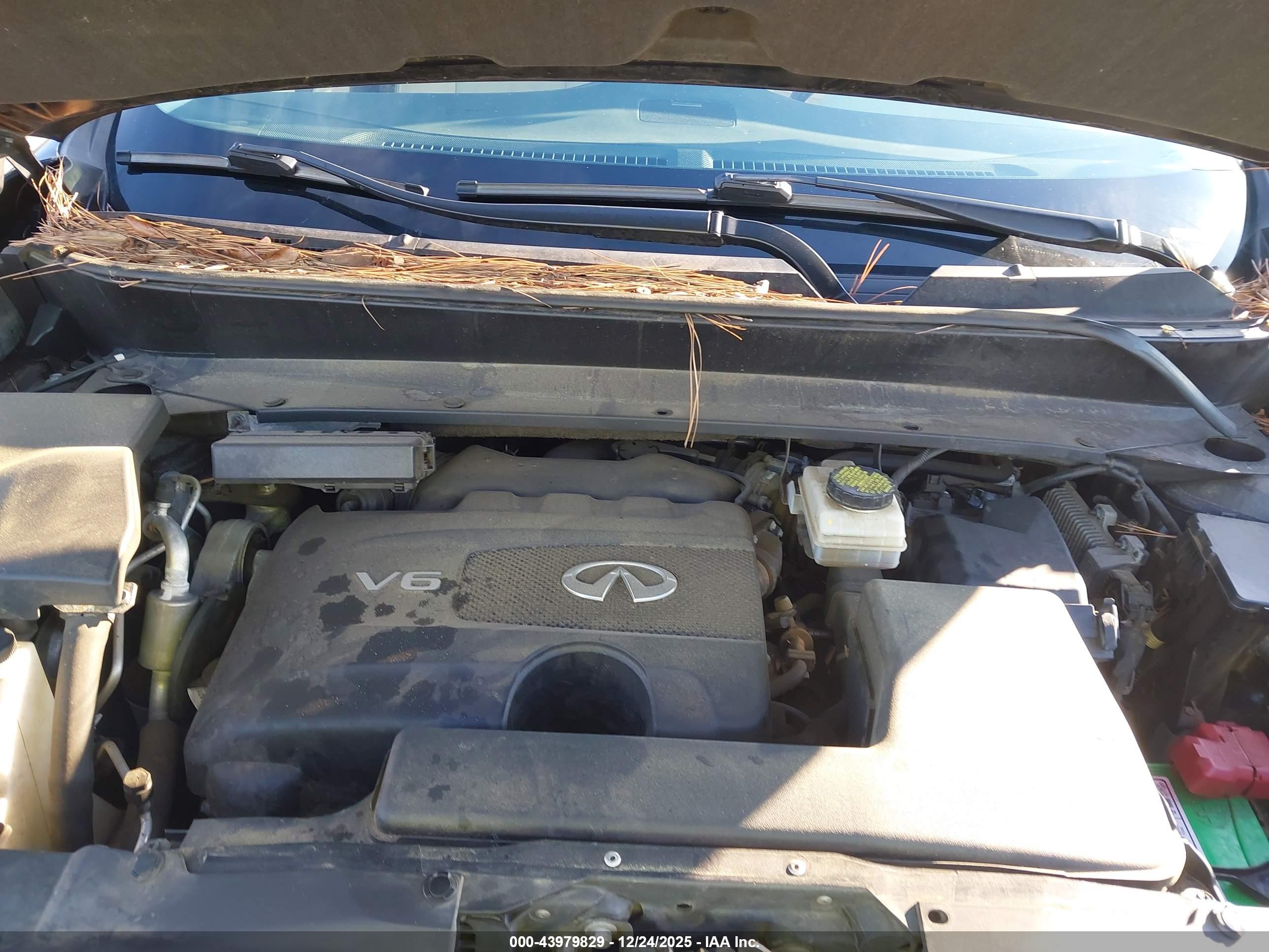 INFINITI QX60 image 10