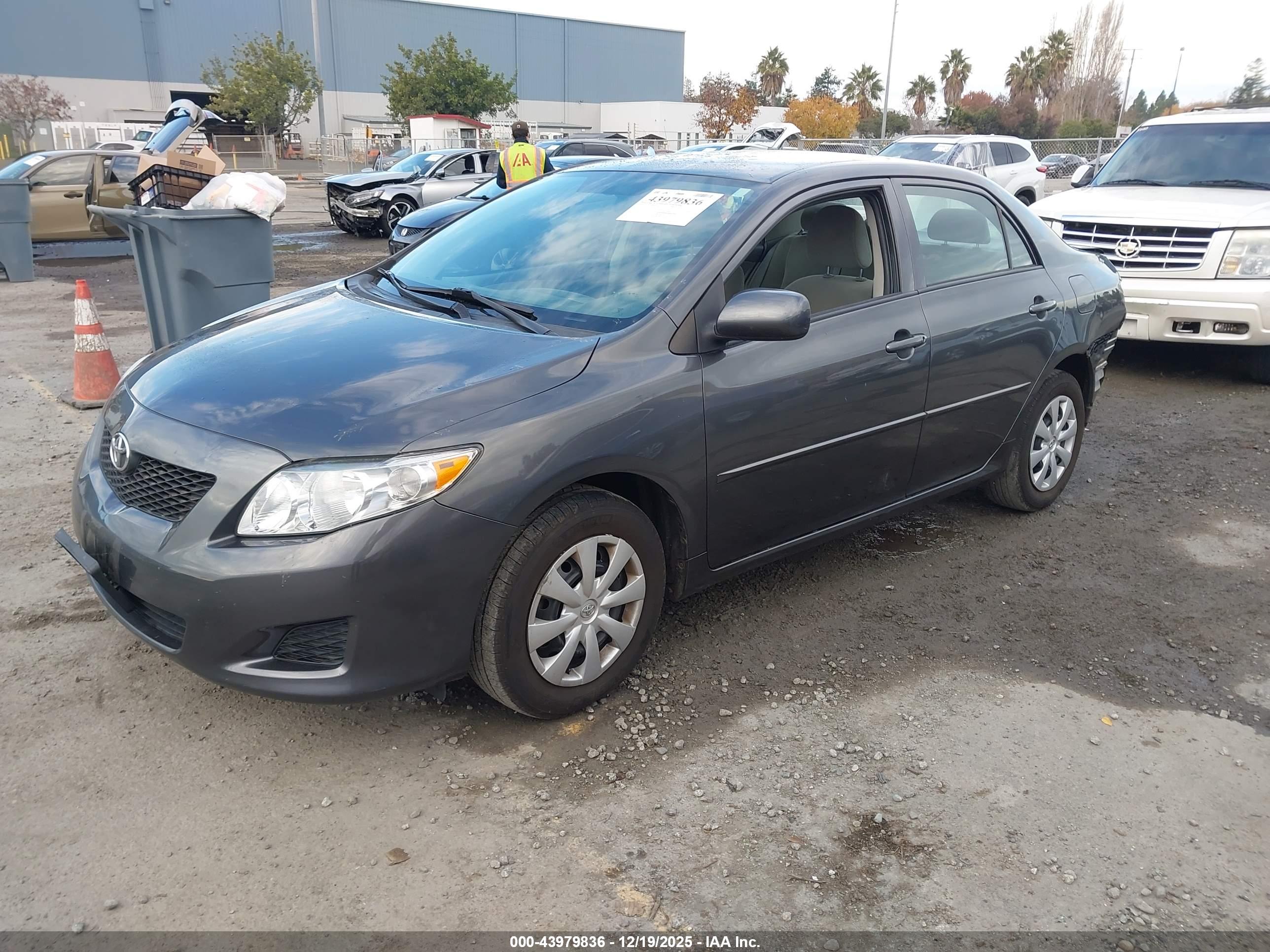 TOYOTA COROLLA image 2