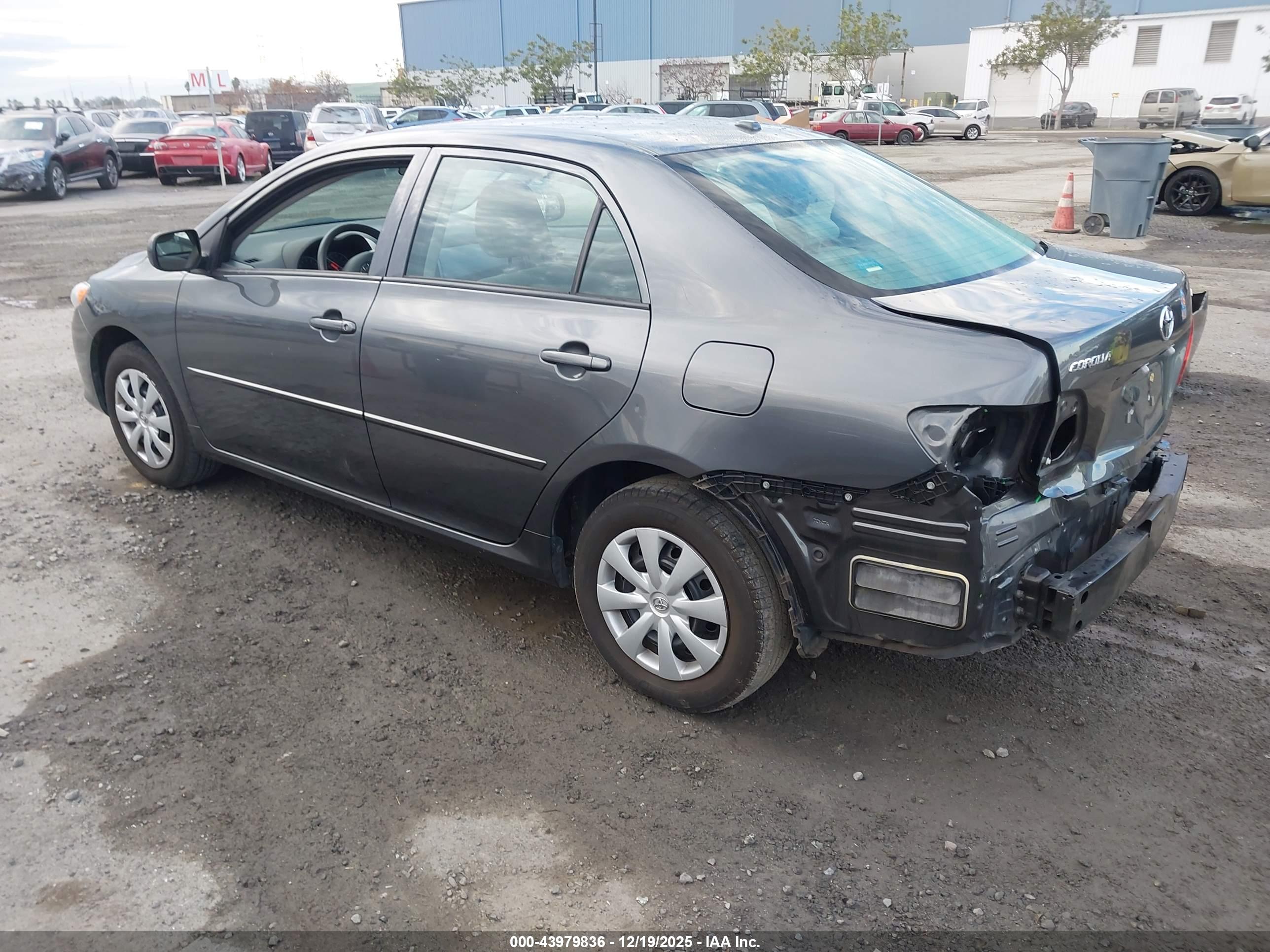 TOYOTA COROLLA image 3