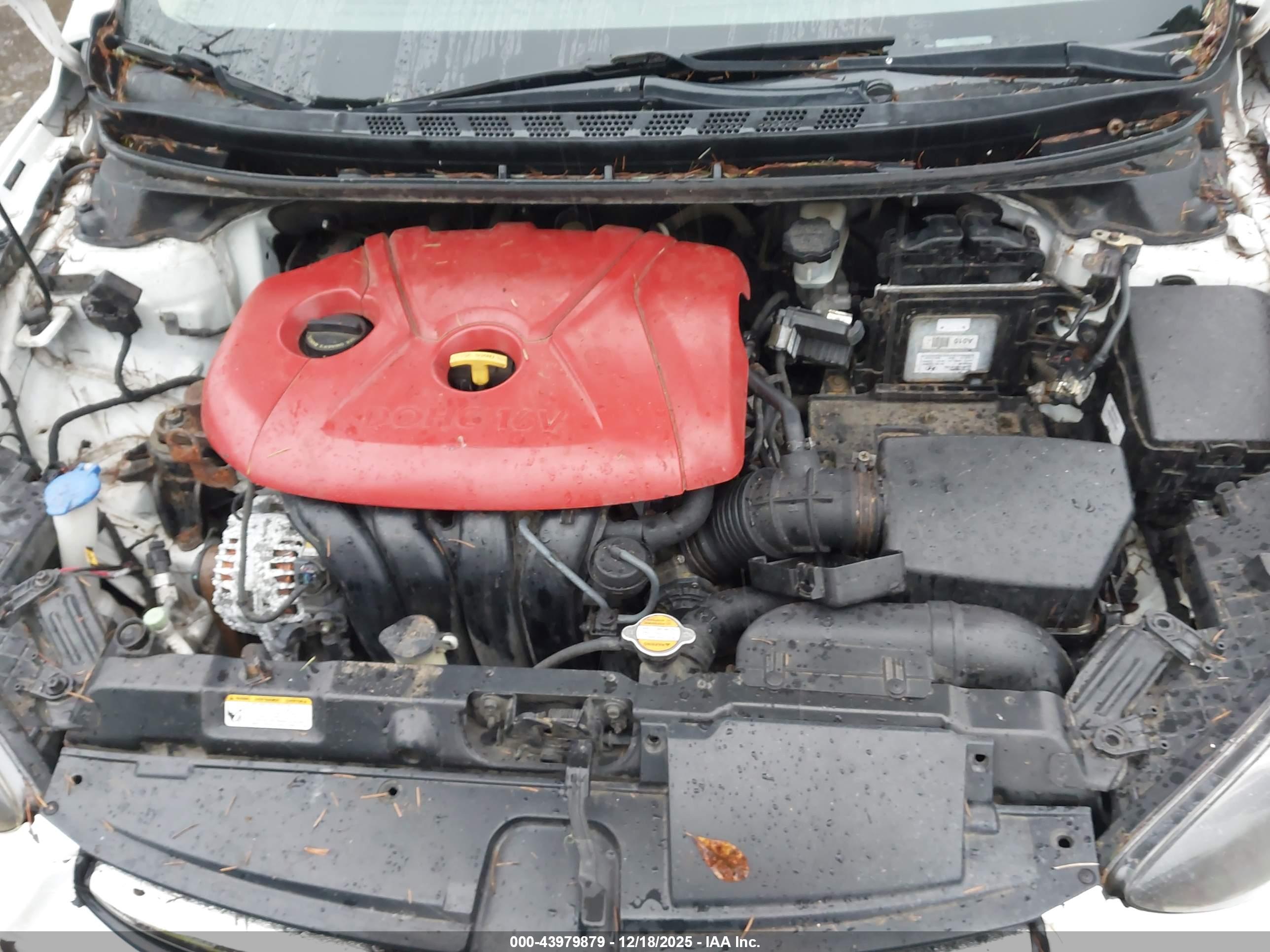 HYUNDAI ELANTRA image 10