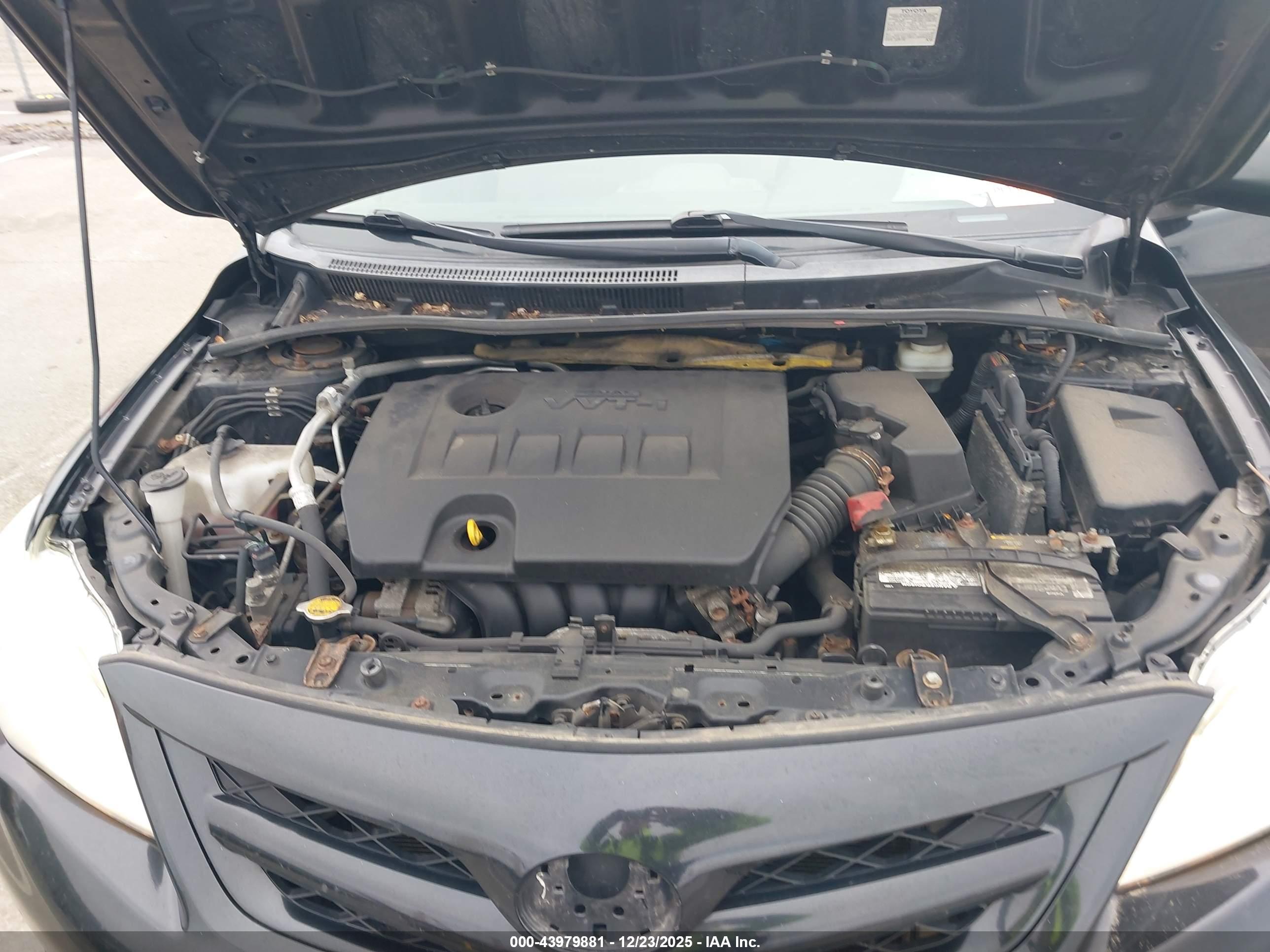 TOYOTA COROLLA image 10