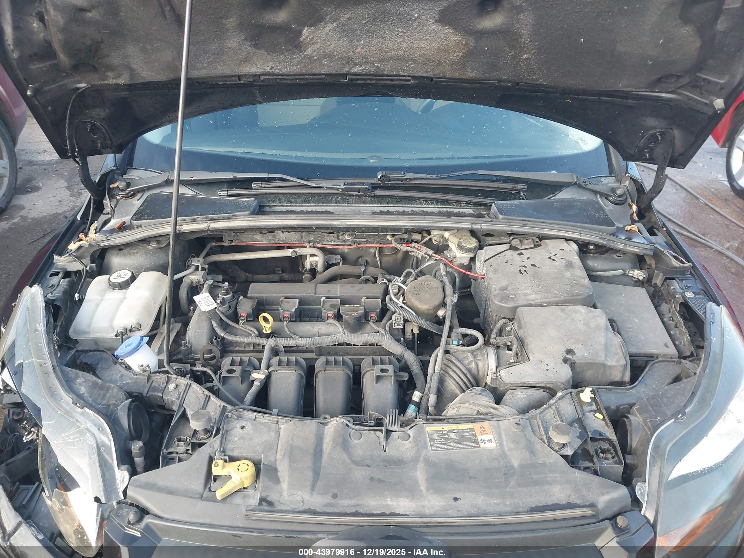 FORD FOCUS image 10