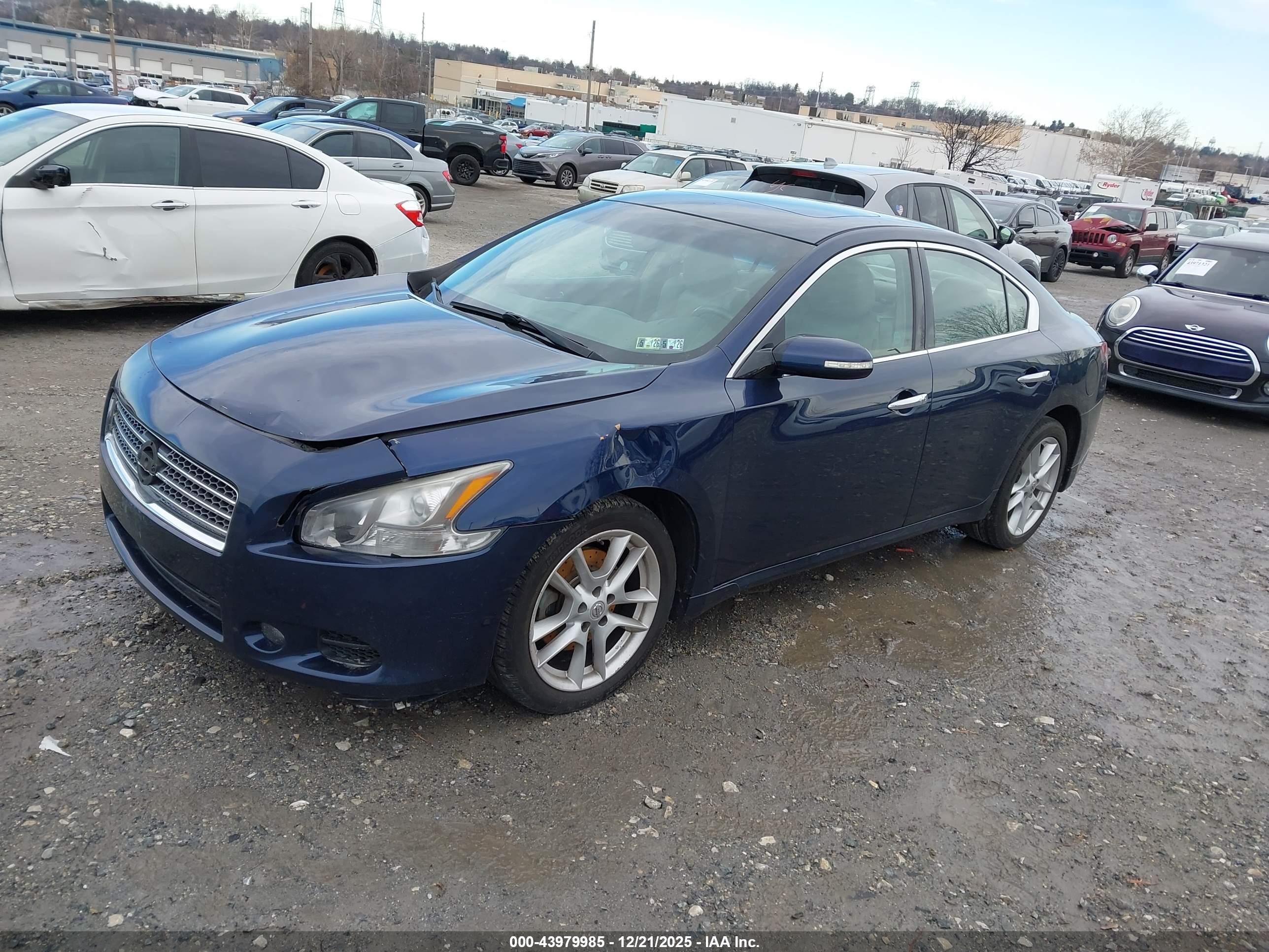 NISSAN MAXIMA image 2