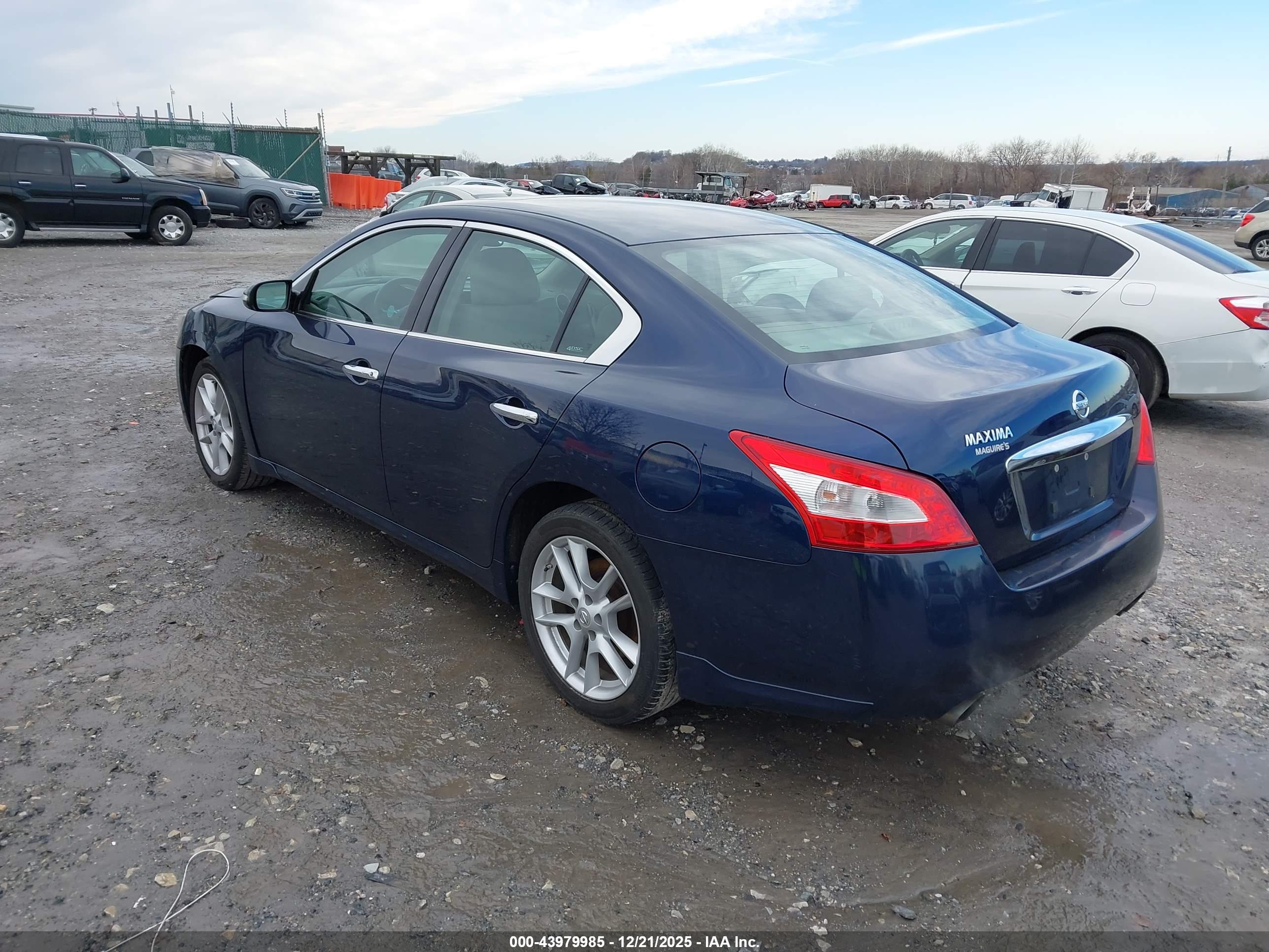 NISSAN MAXIMA image 3