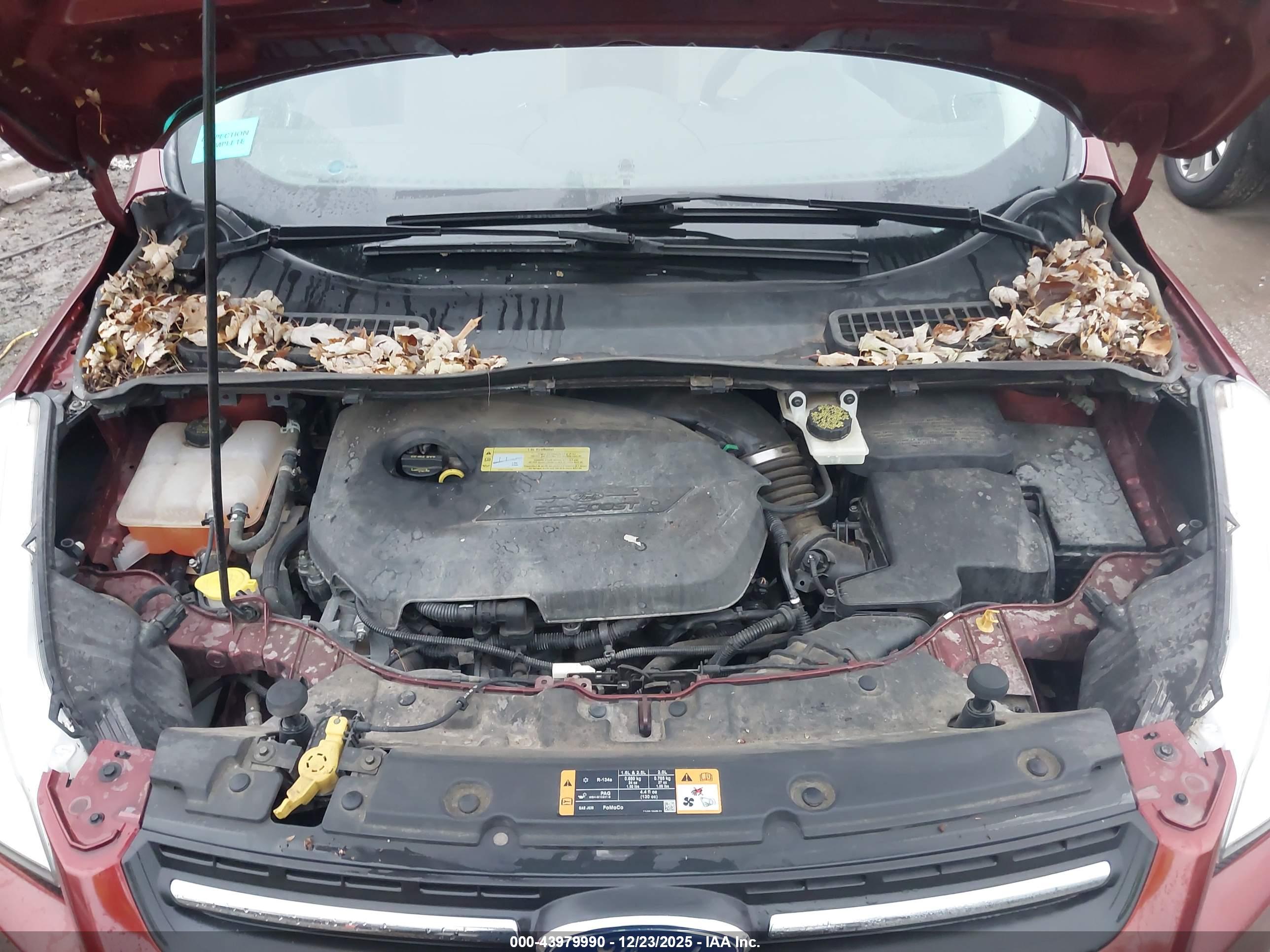 FORD ESCAPE image 10