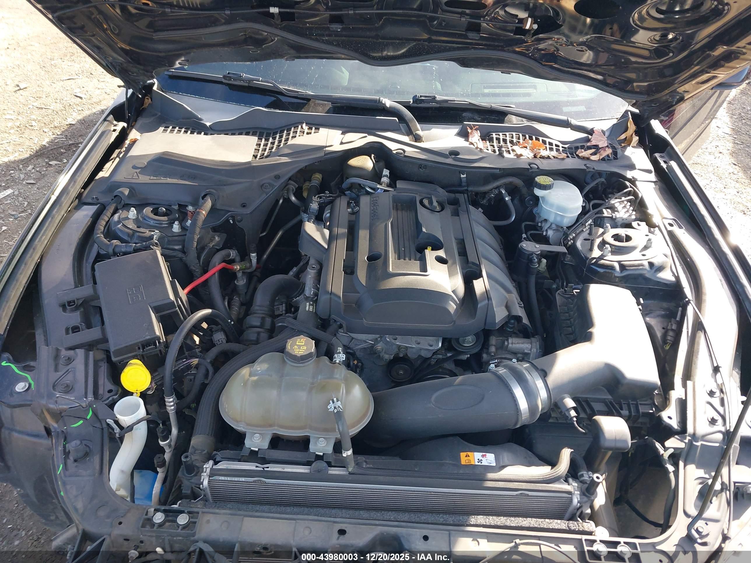 FORD MUSTANG image 10
