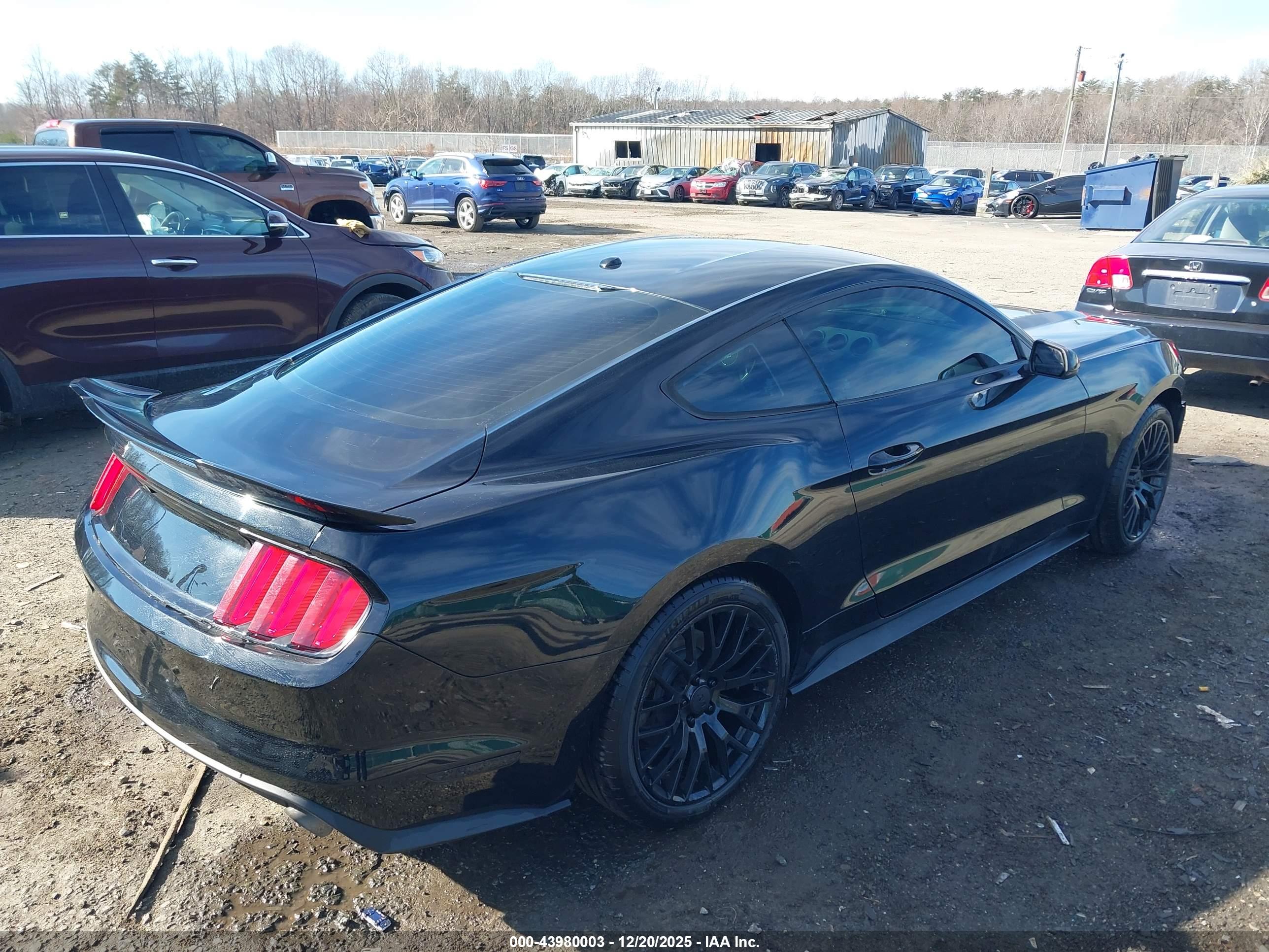 FORD MUSTANG image 4