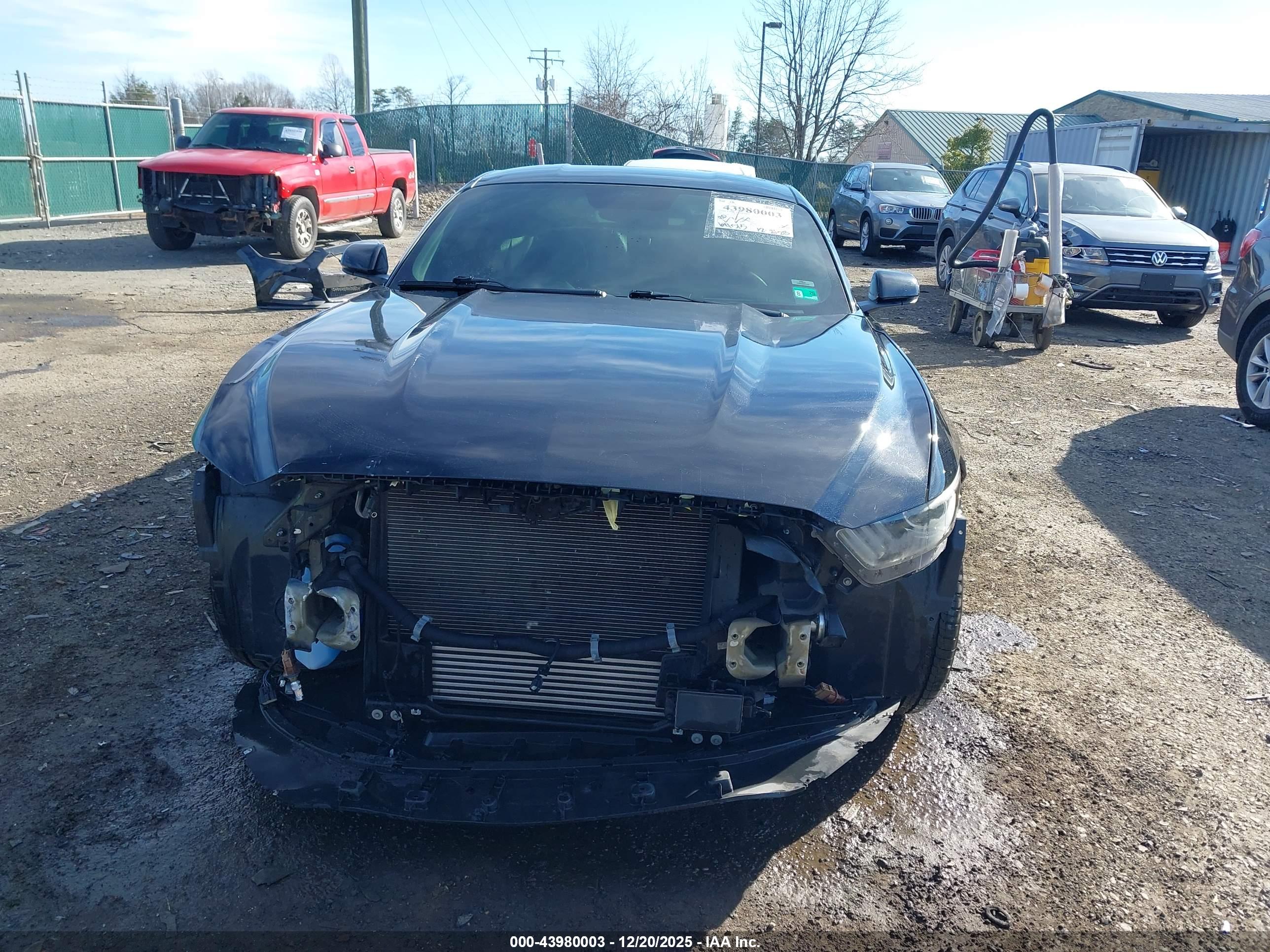 FORD MUSTANG image 6