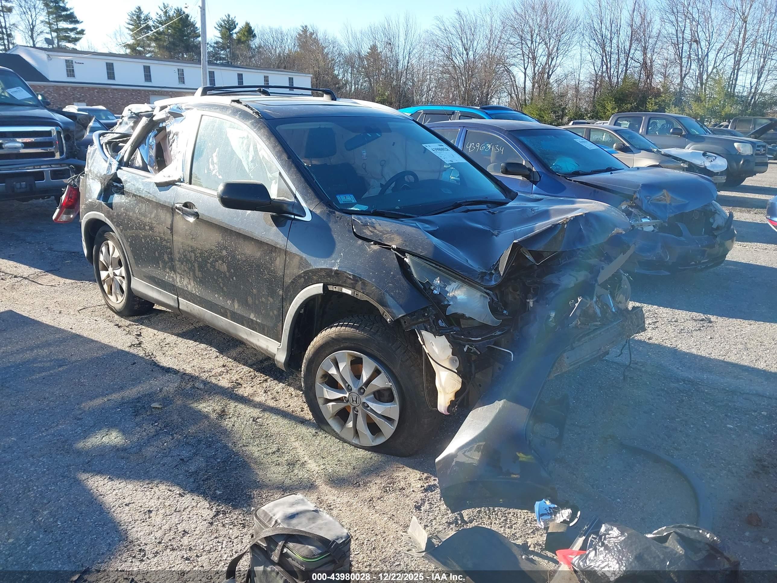 HONDA CR-V image 6