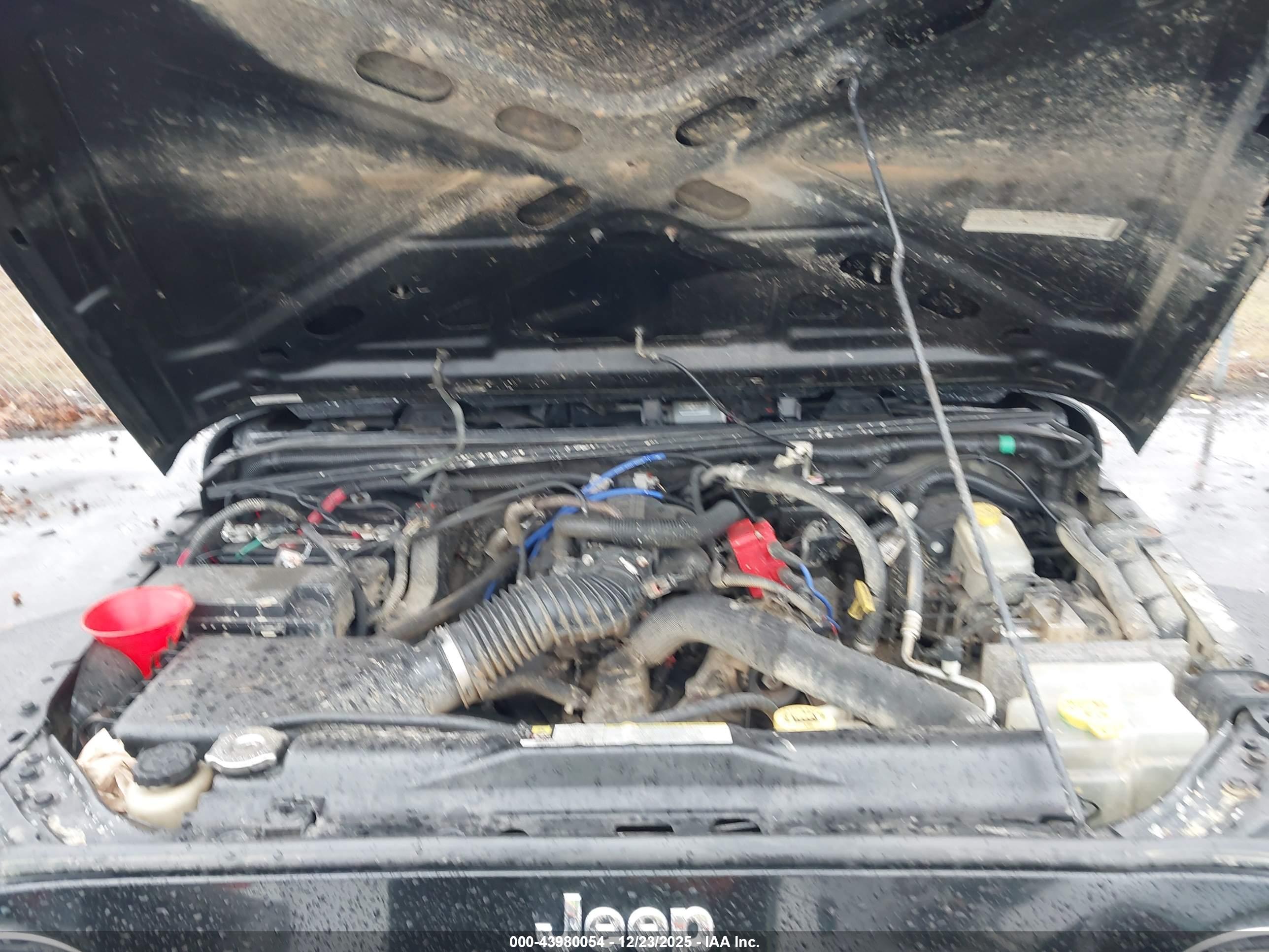JEEP WRANGLER image 10