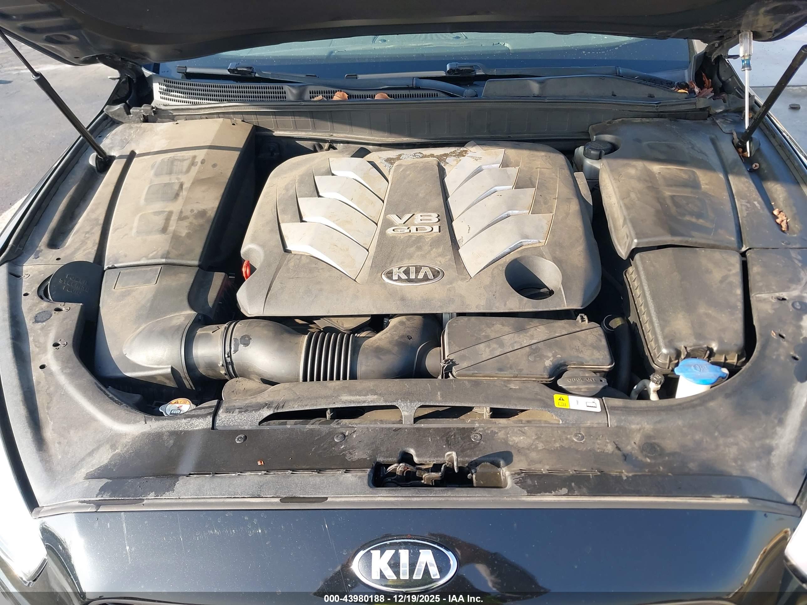 KIA K900 image 10