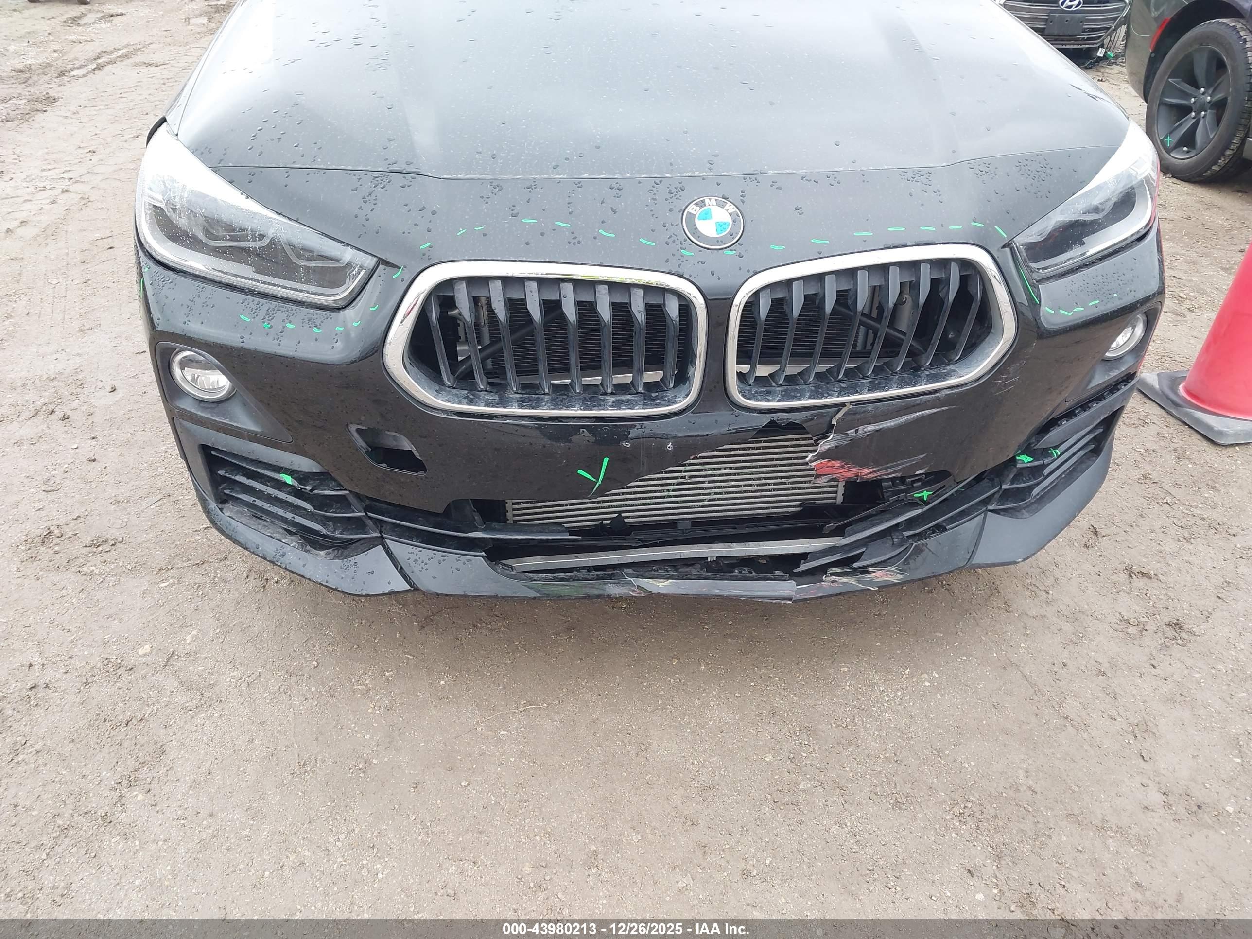 BMW X2 image 6