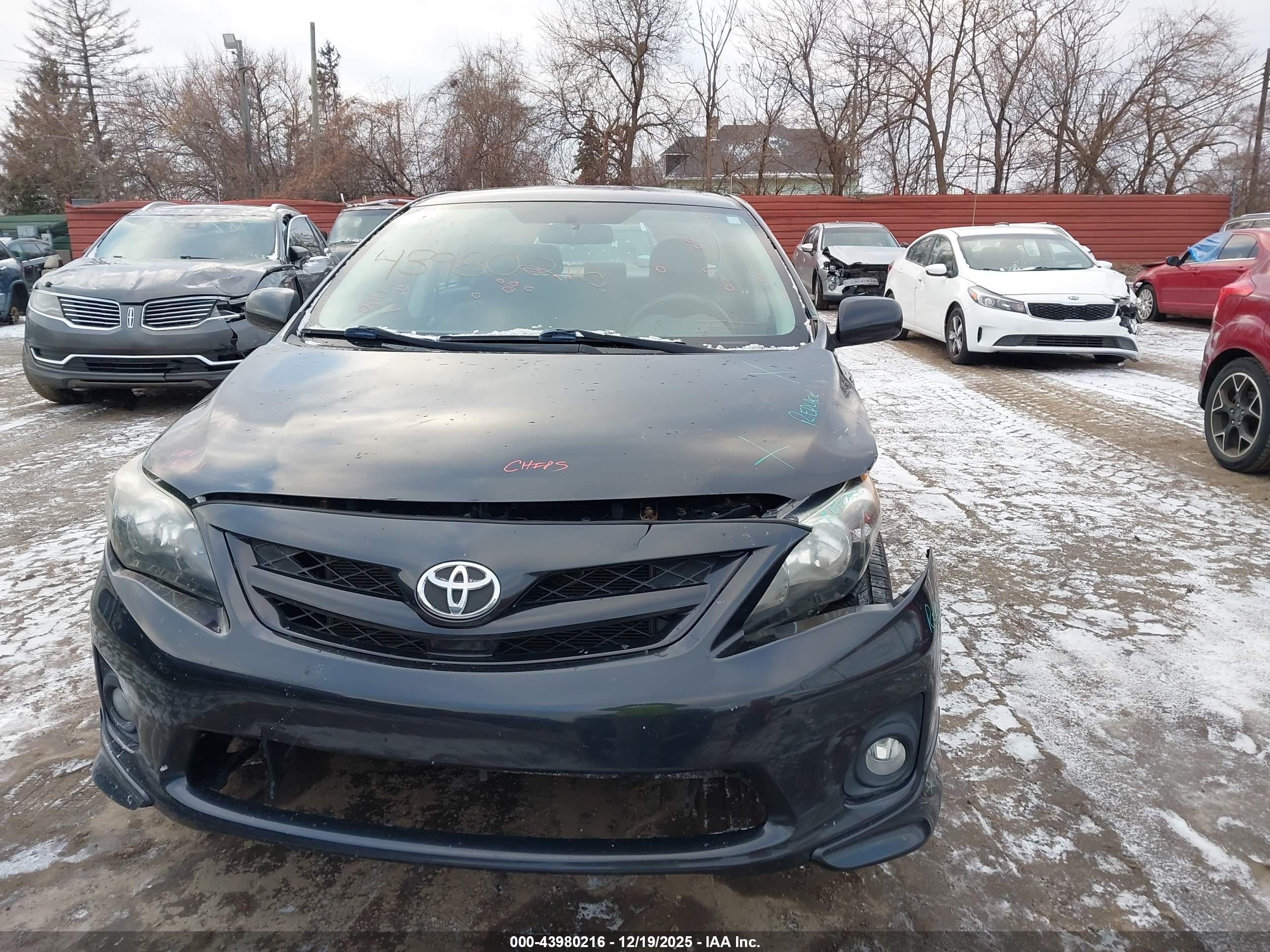 TOYOTA COROLLA image 6