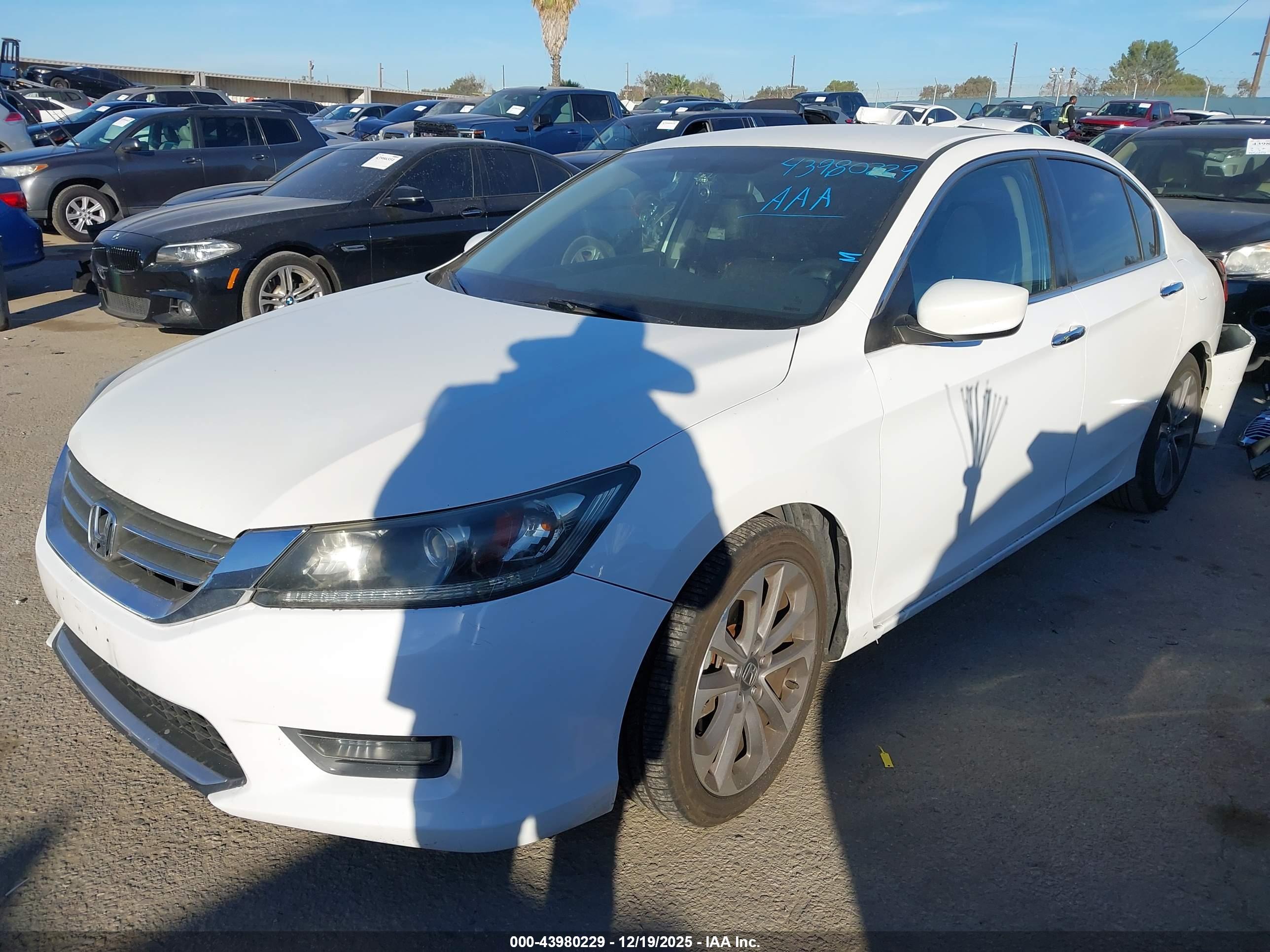 HONDA ACCORD image 2
