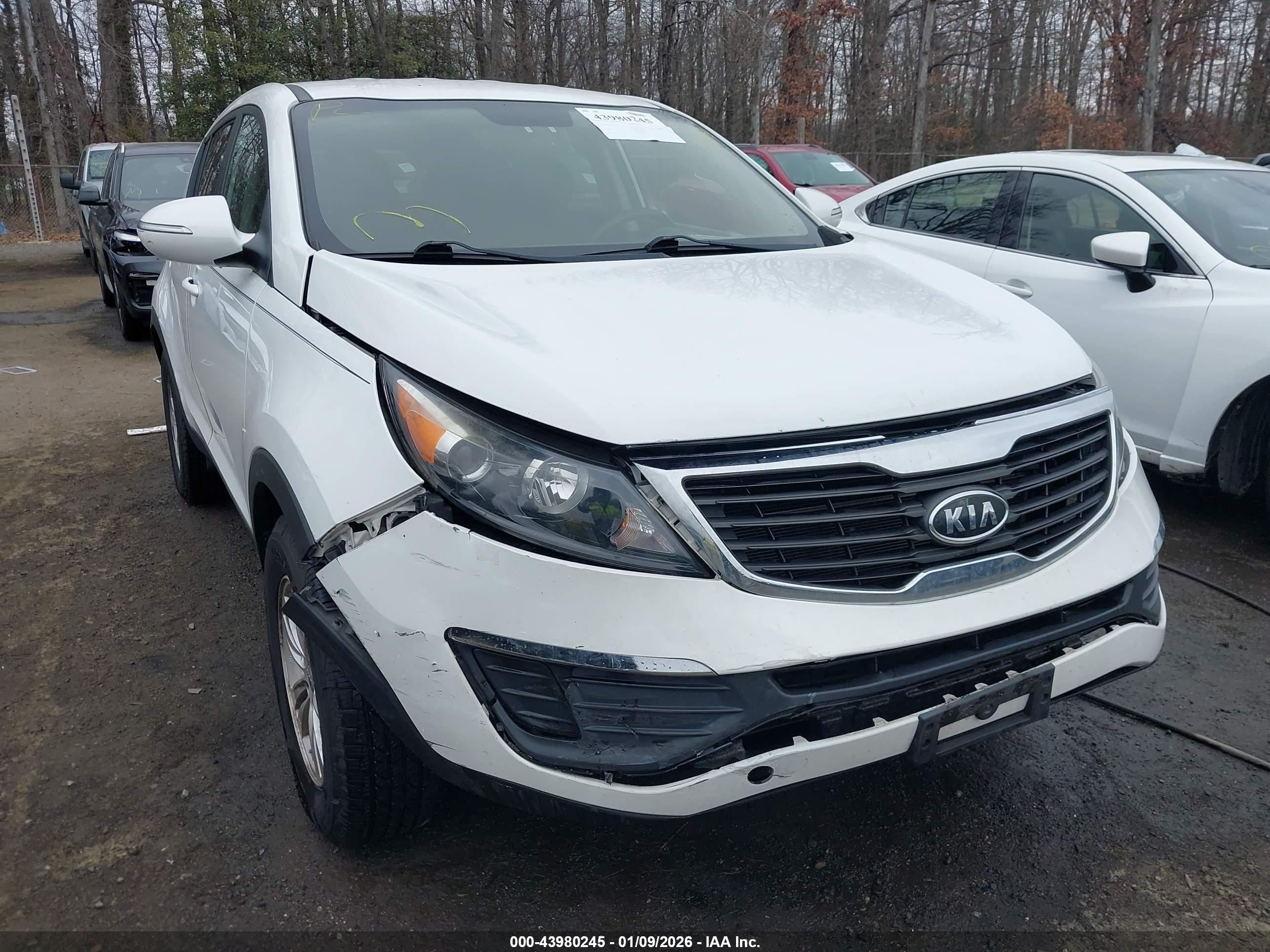 KIA SPORTAGE image 6
