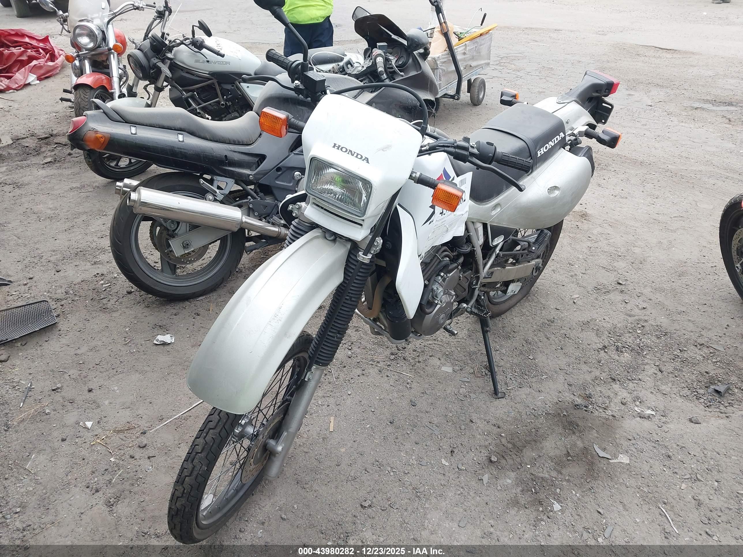 HONDA XR650 image 2
