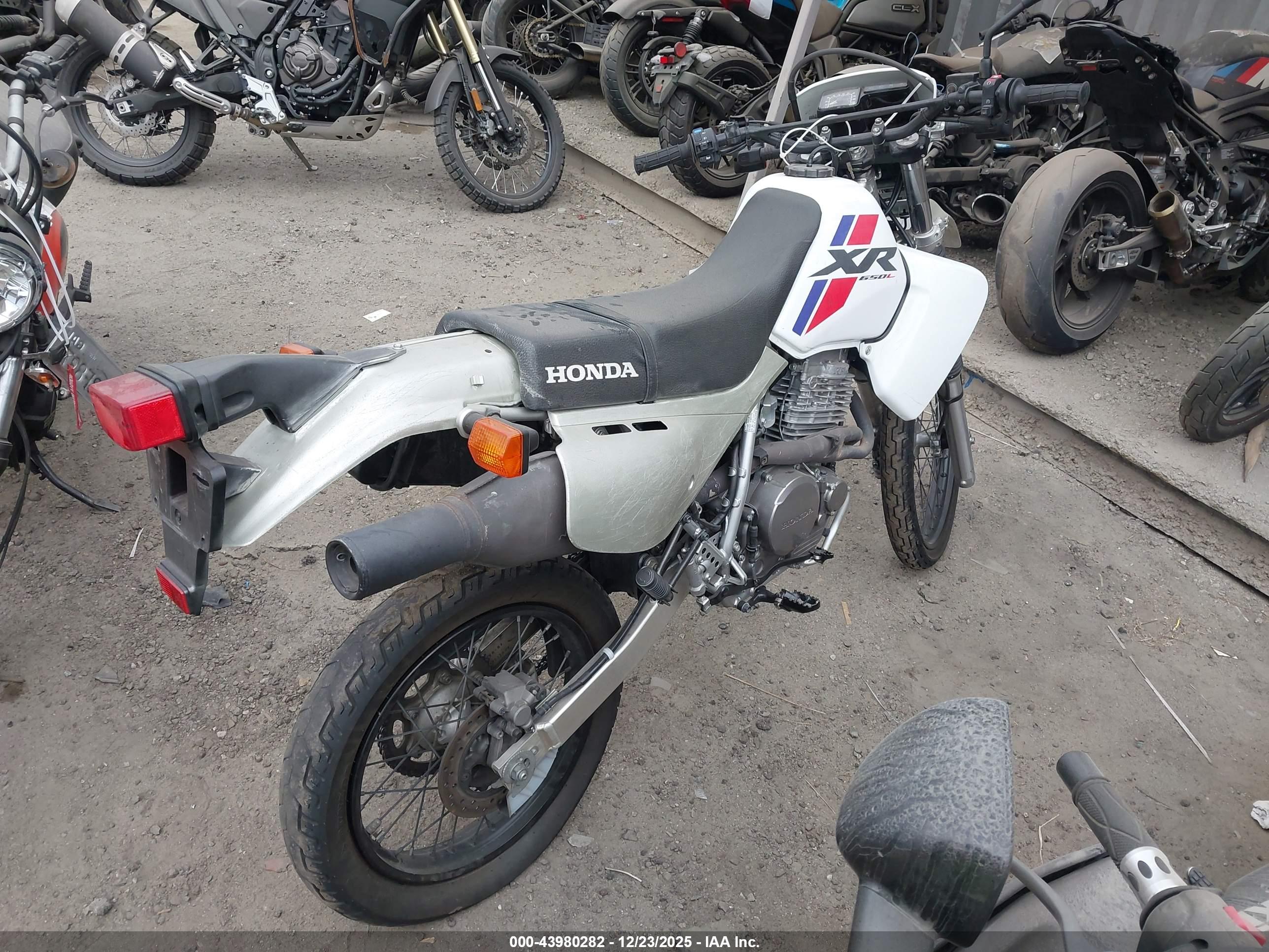 HONDA XR650 image 4