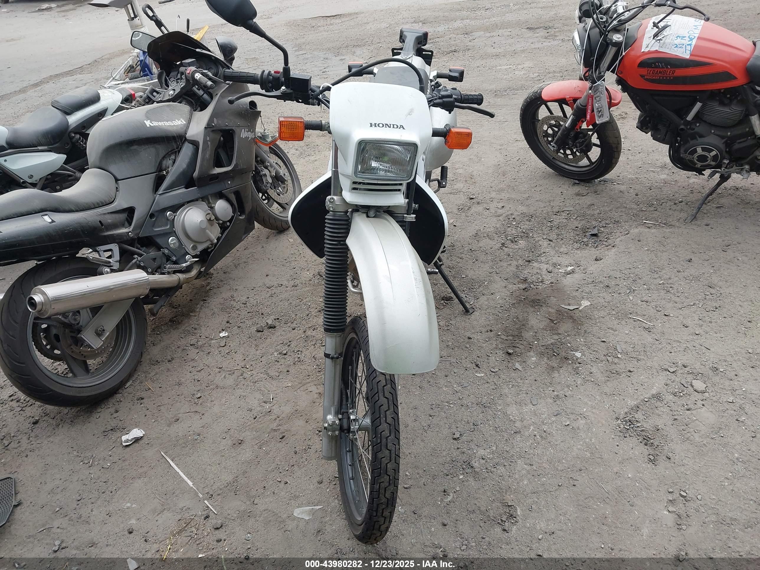HONDA XR650 image 5