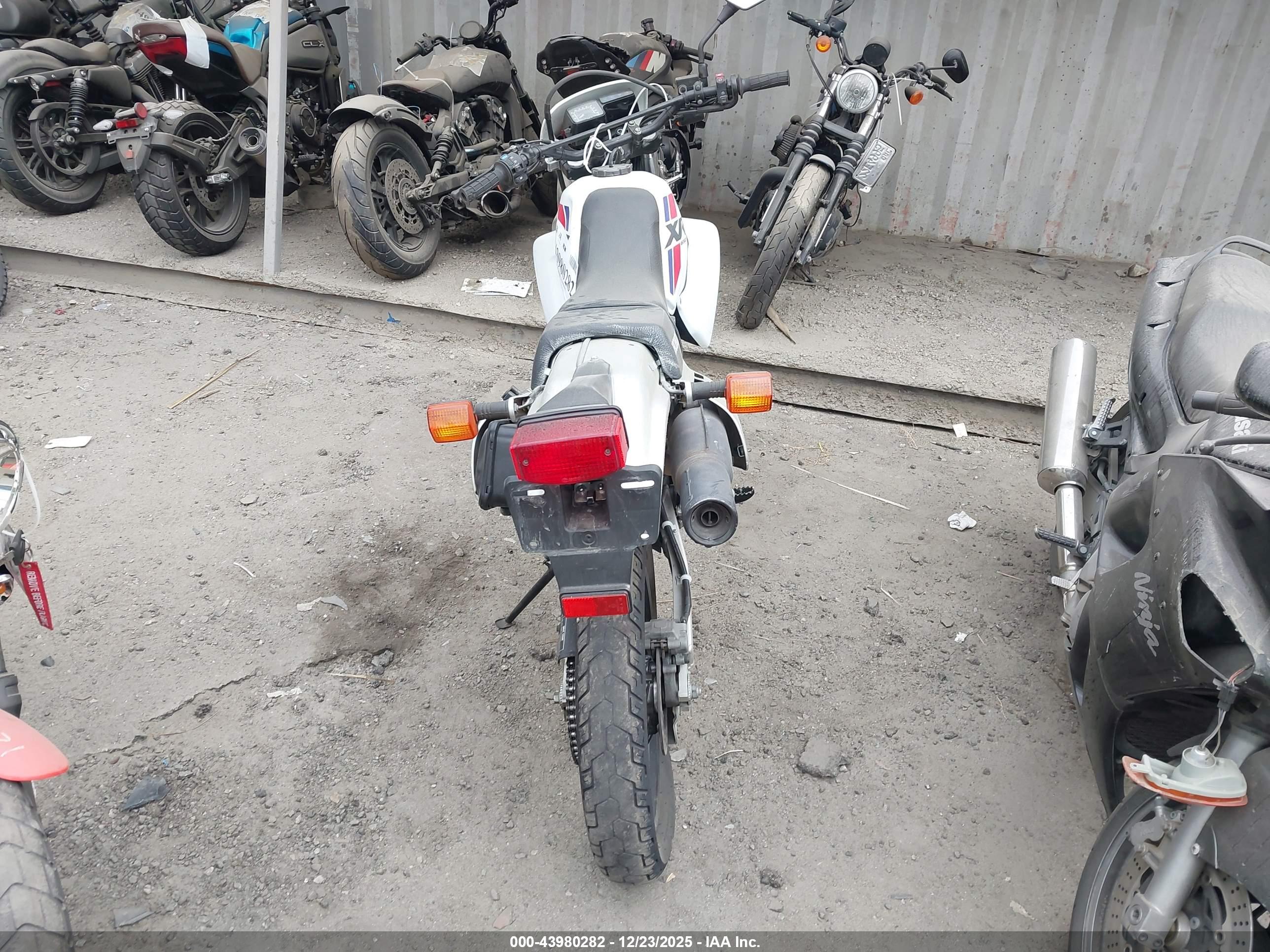 HONDA XR650 image 6