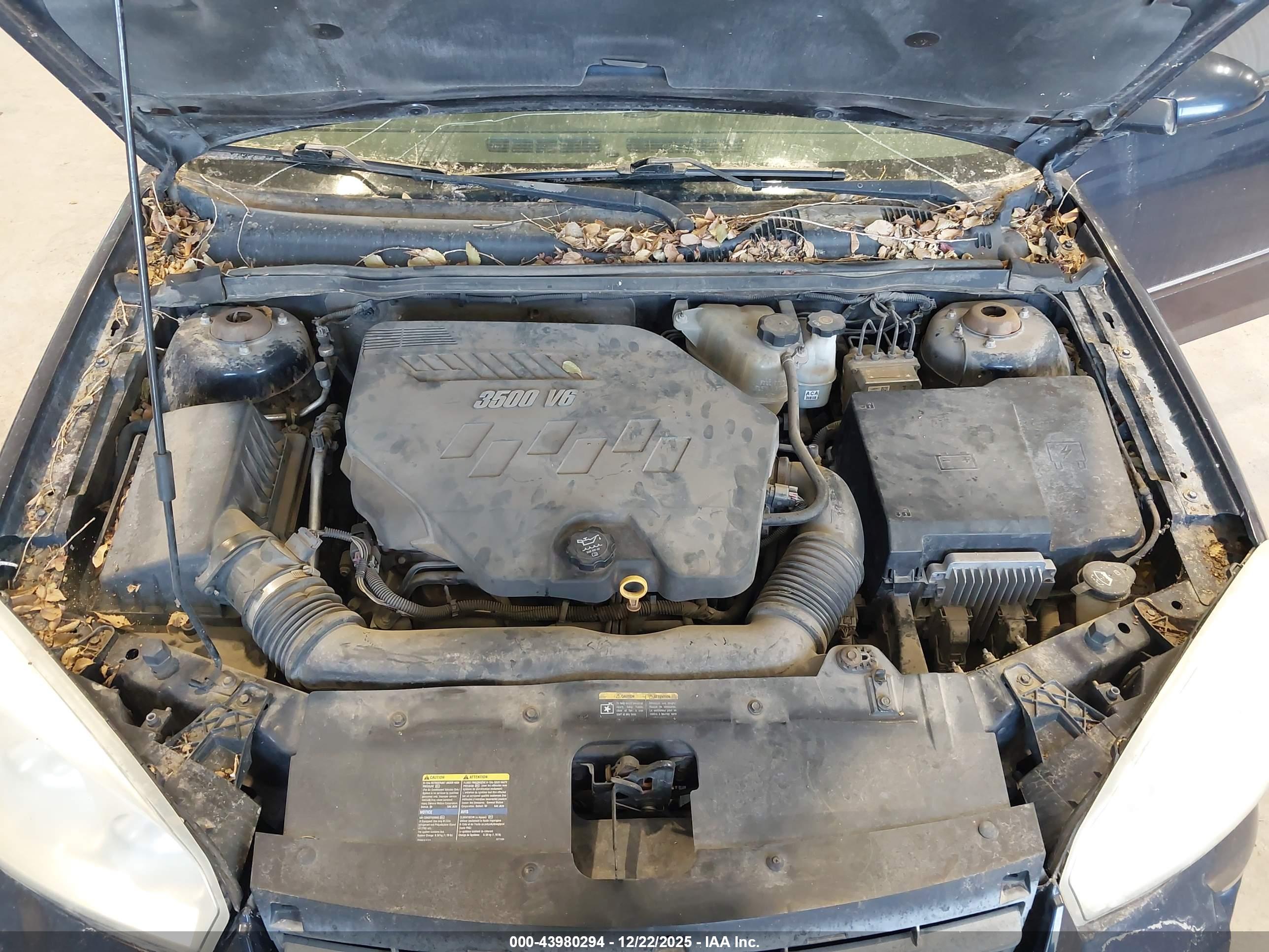 CHEVROLET MALIBU image 10