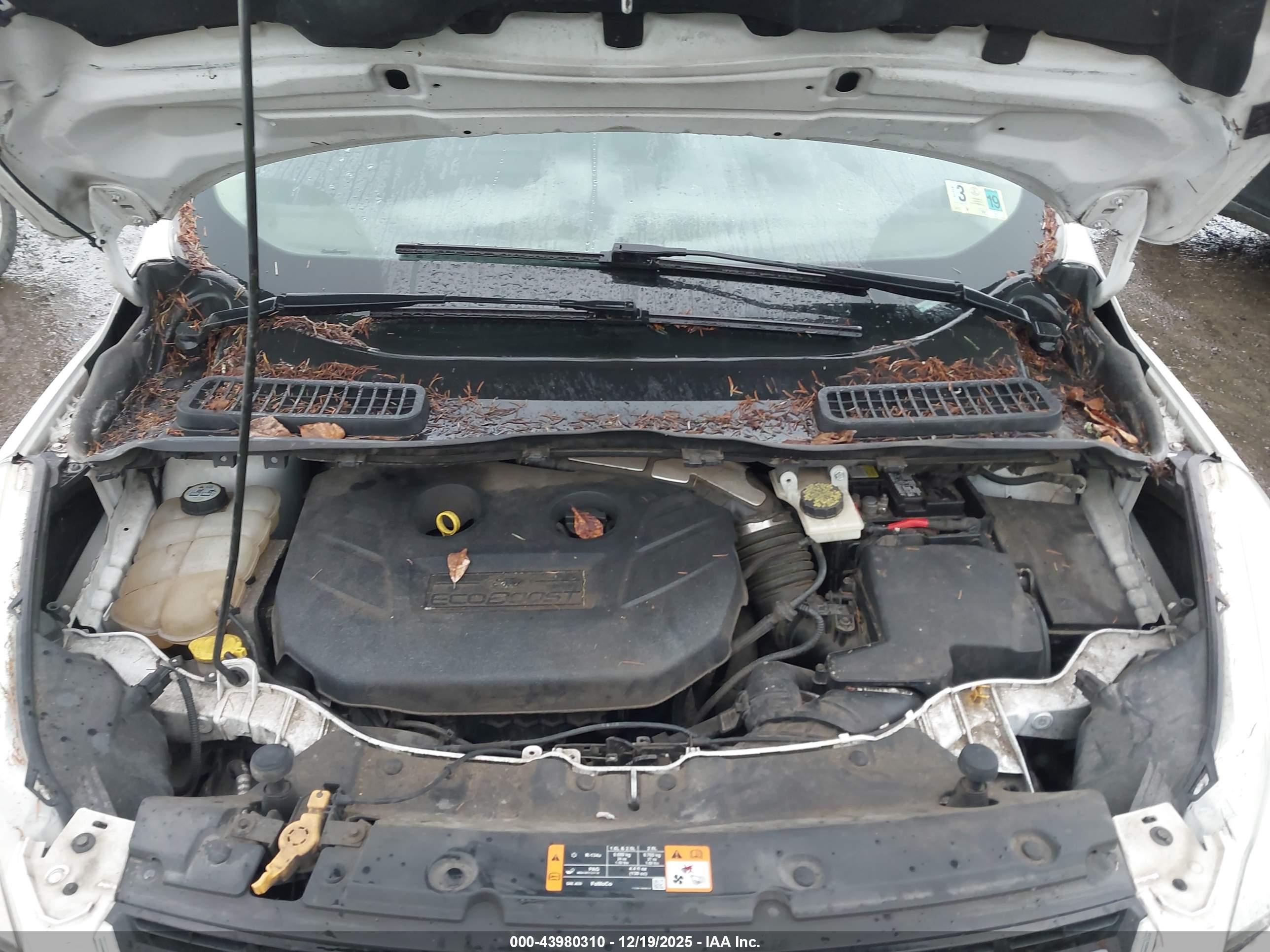 FORD ESCAPE image 10