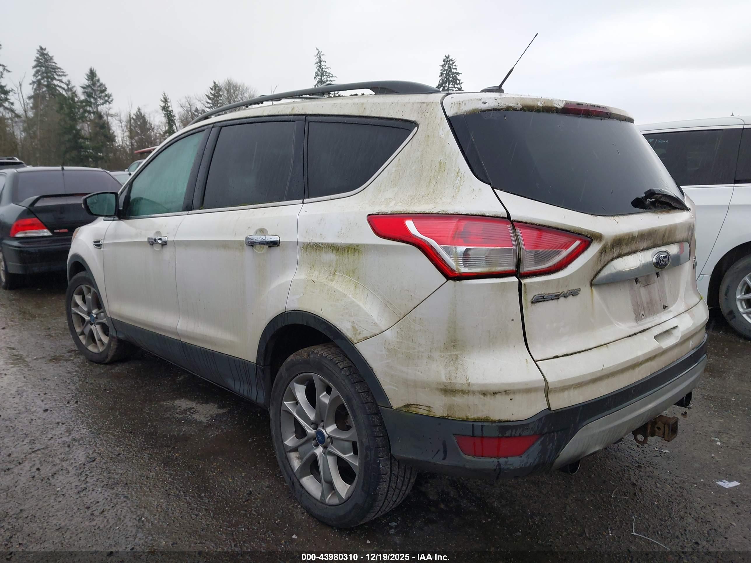 FORD ESCAPE image 3