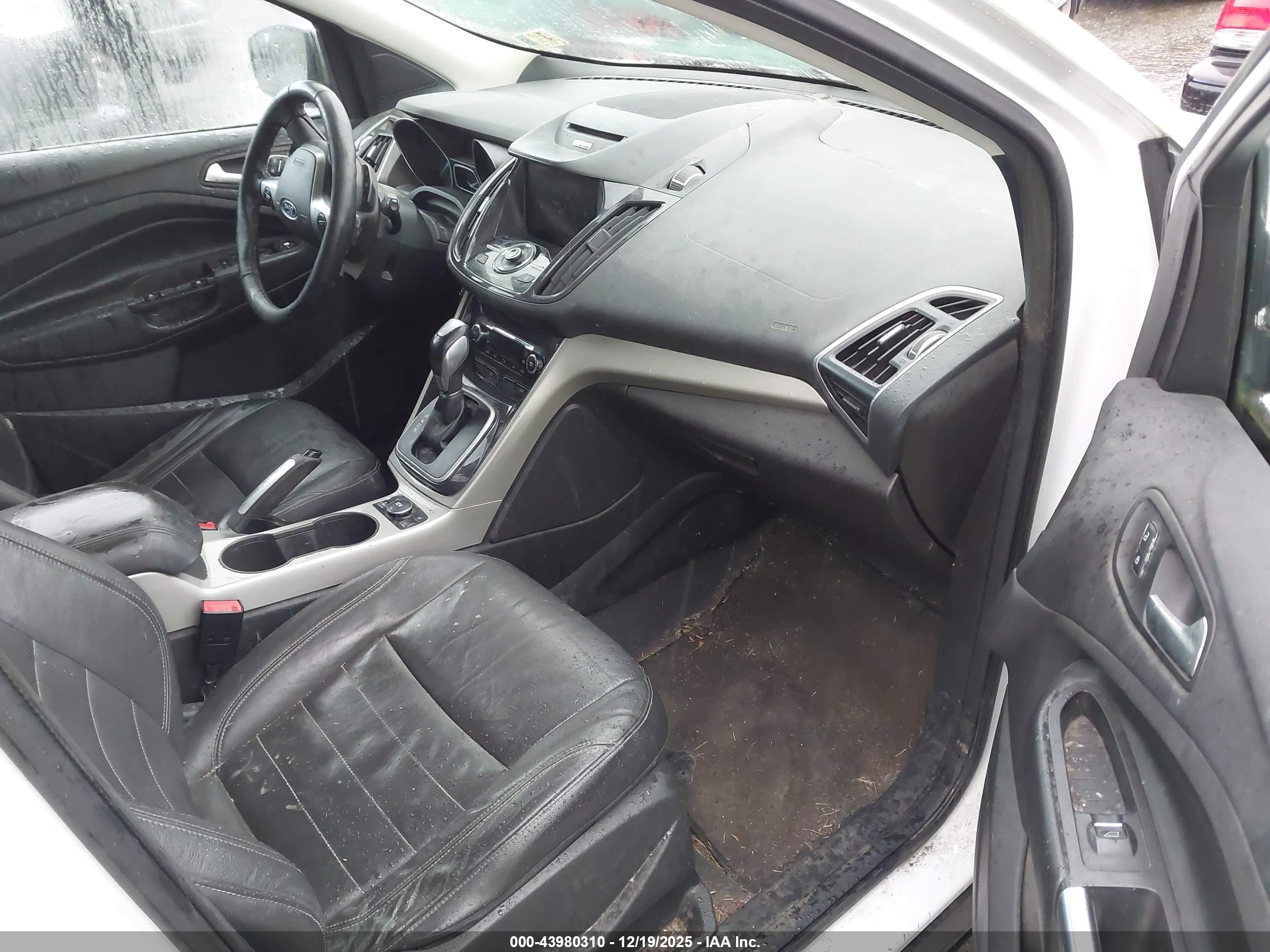 FORD ESCAPE image 5