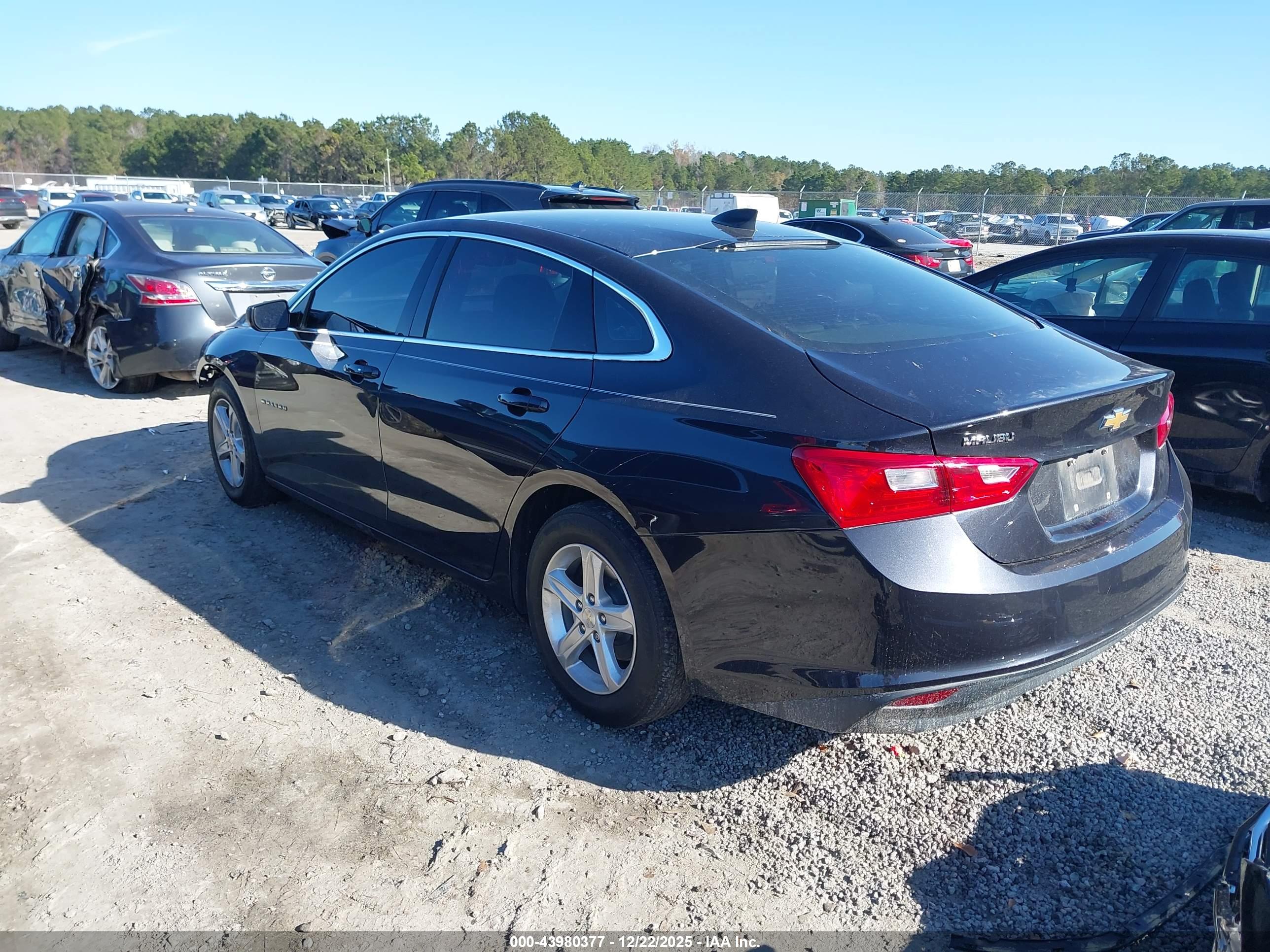 CHEVROLET MALIBU image 3