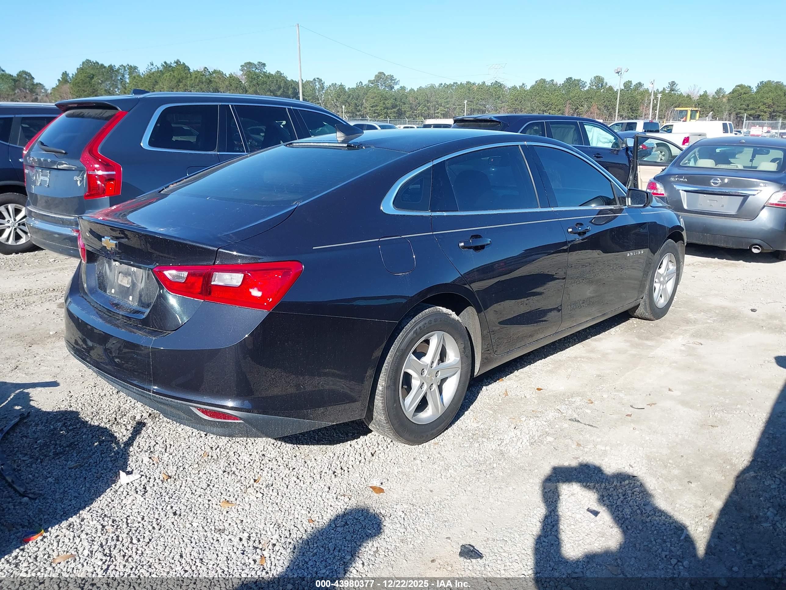 CHEVROLET MALIBU image 4