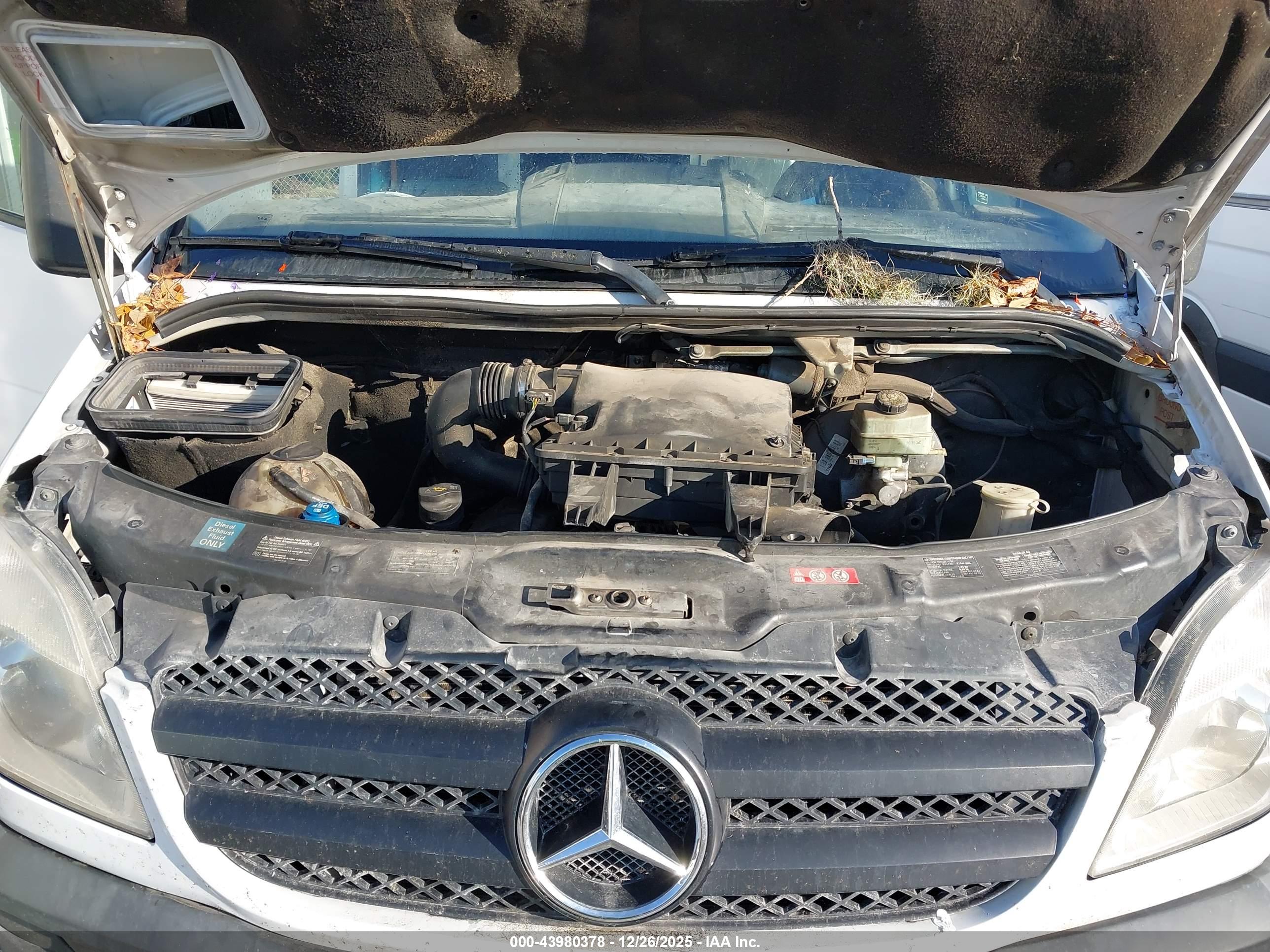 MERCEDES-BENZ SPRINTER image 10
