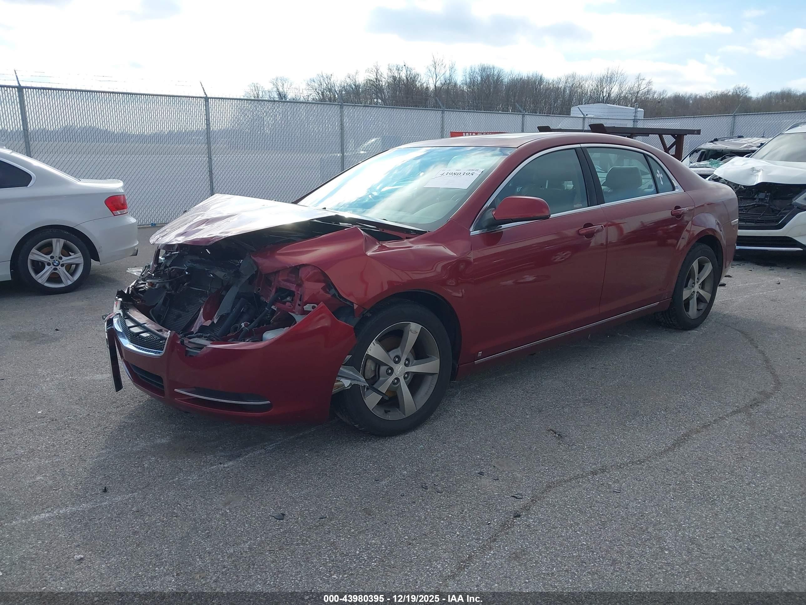 CHEVROLET MALIBU image 2