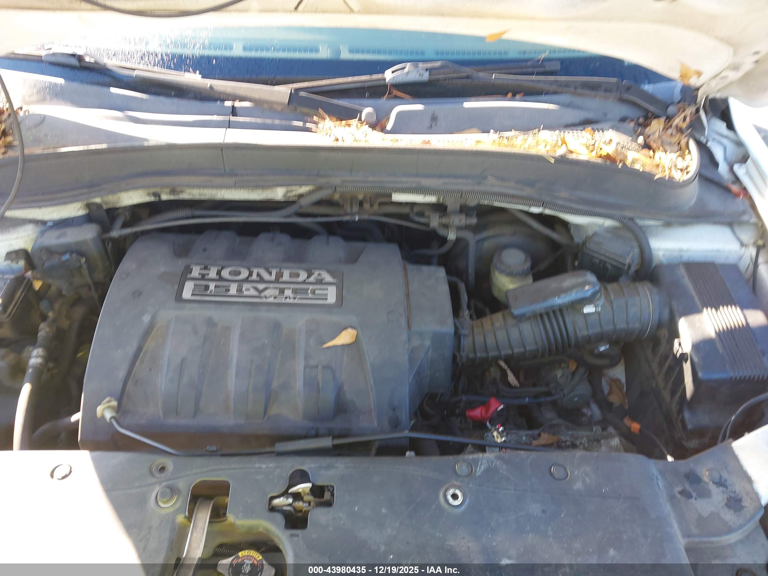 HONDA PILOT image 10
