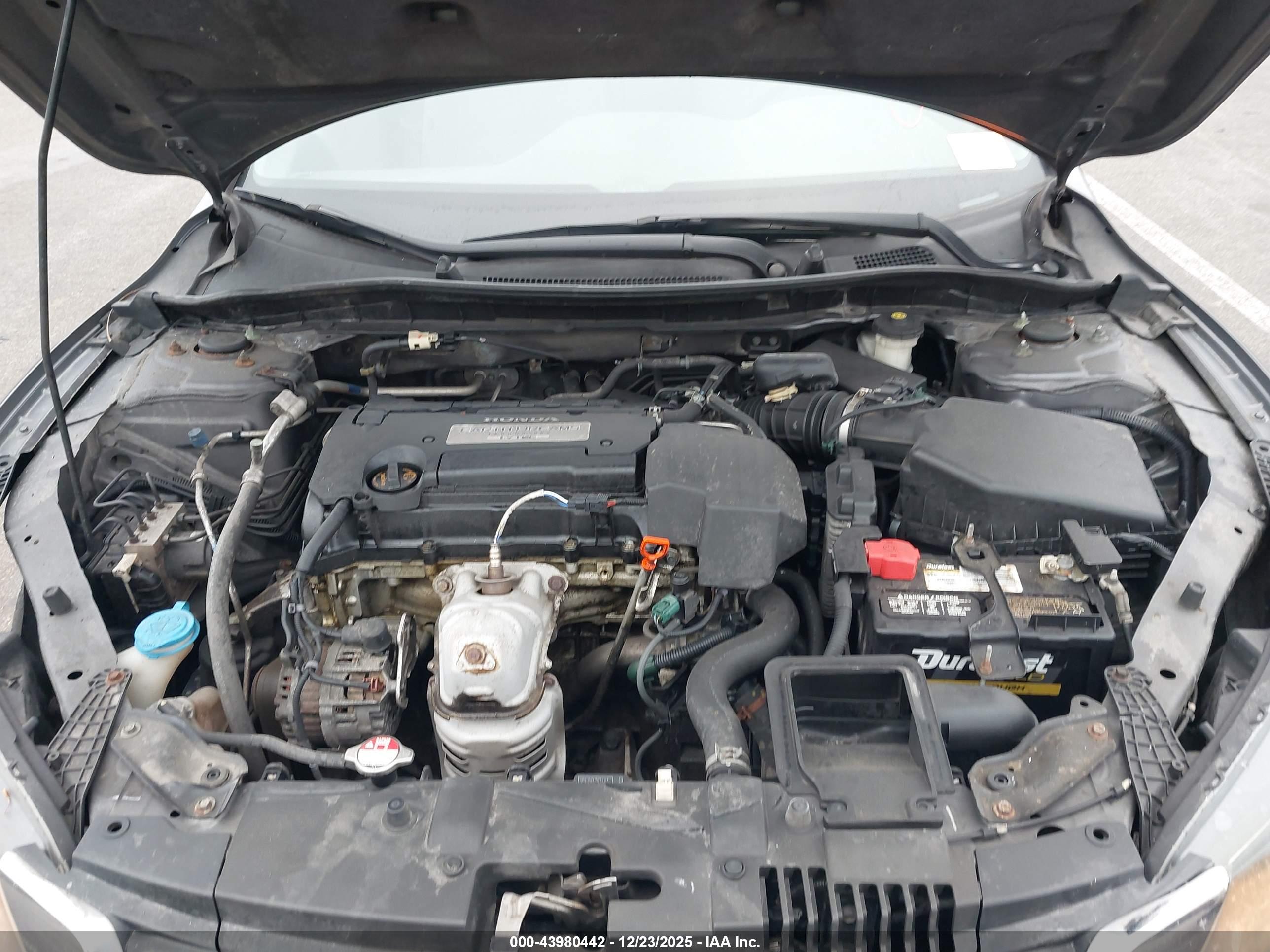 HONDA ACCORD image 10