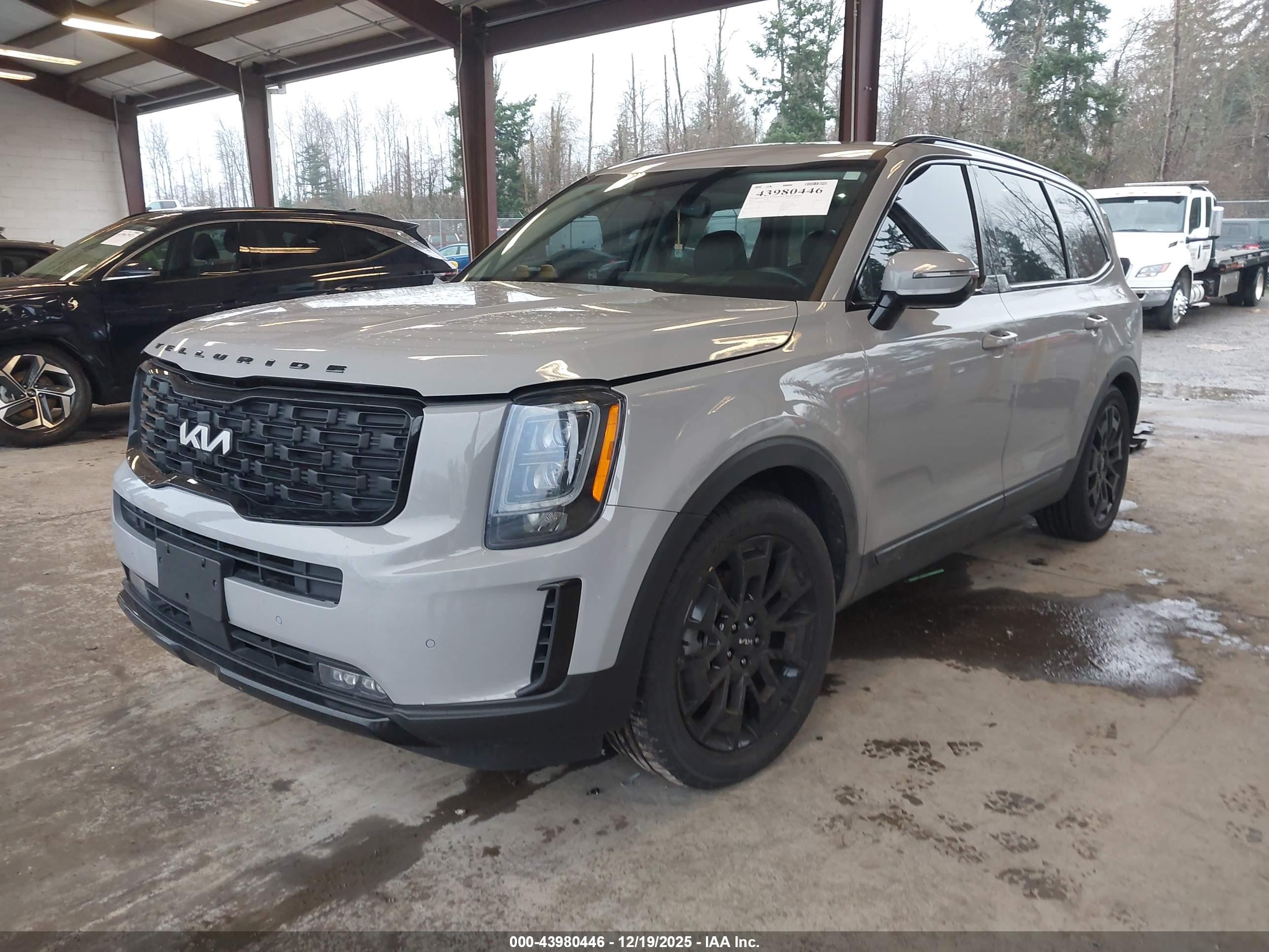 KIA TELLURIDE image 2