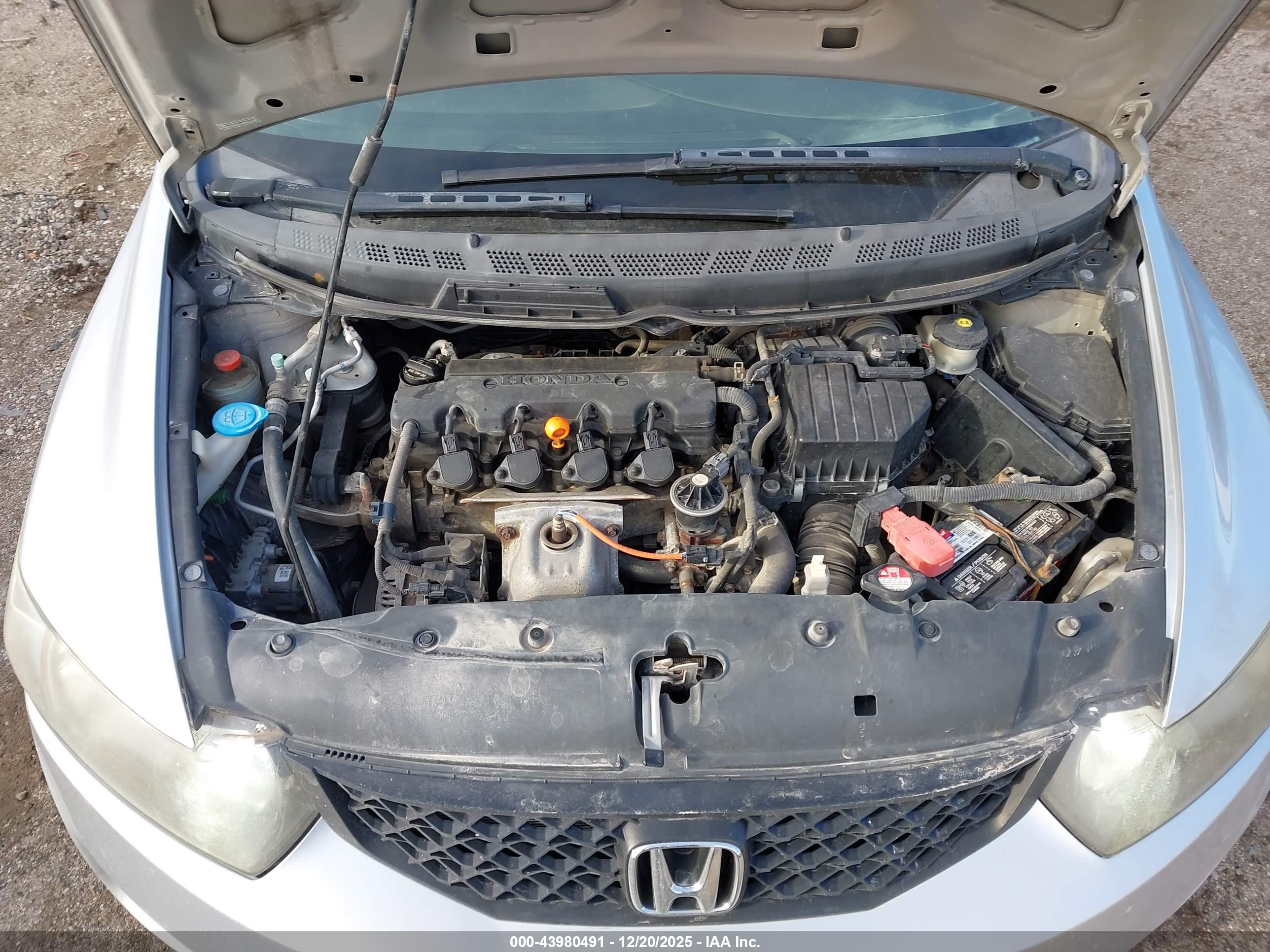 HONDA CIVIC image 10
