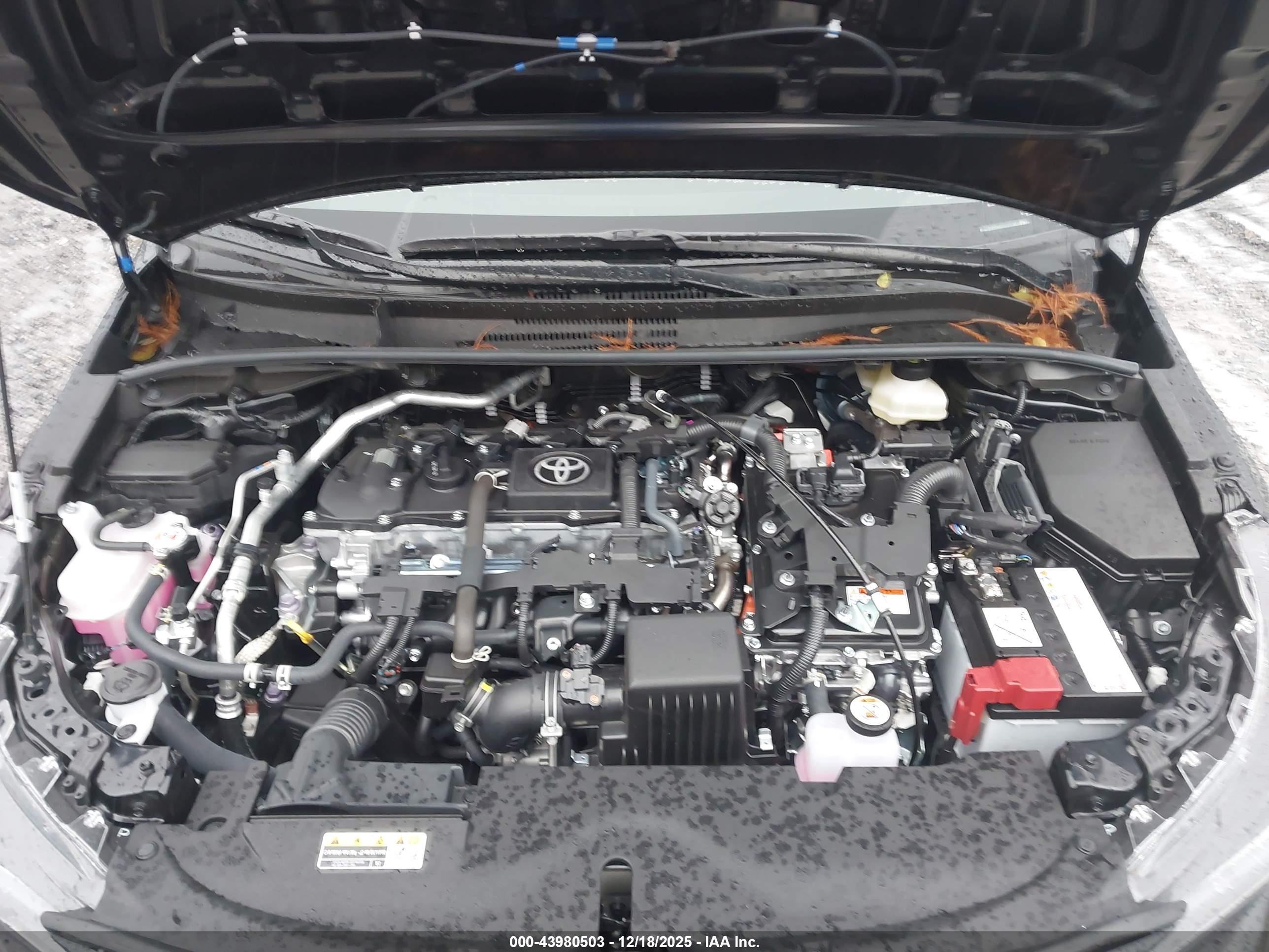 TOYOTA COROLLA image 10
