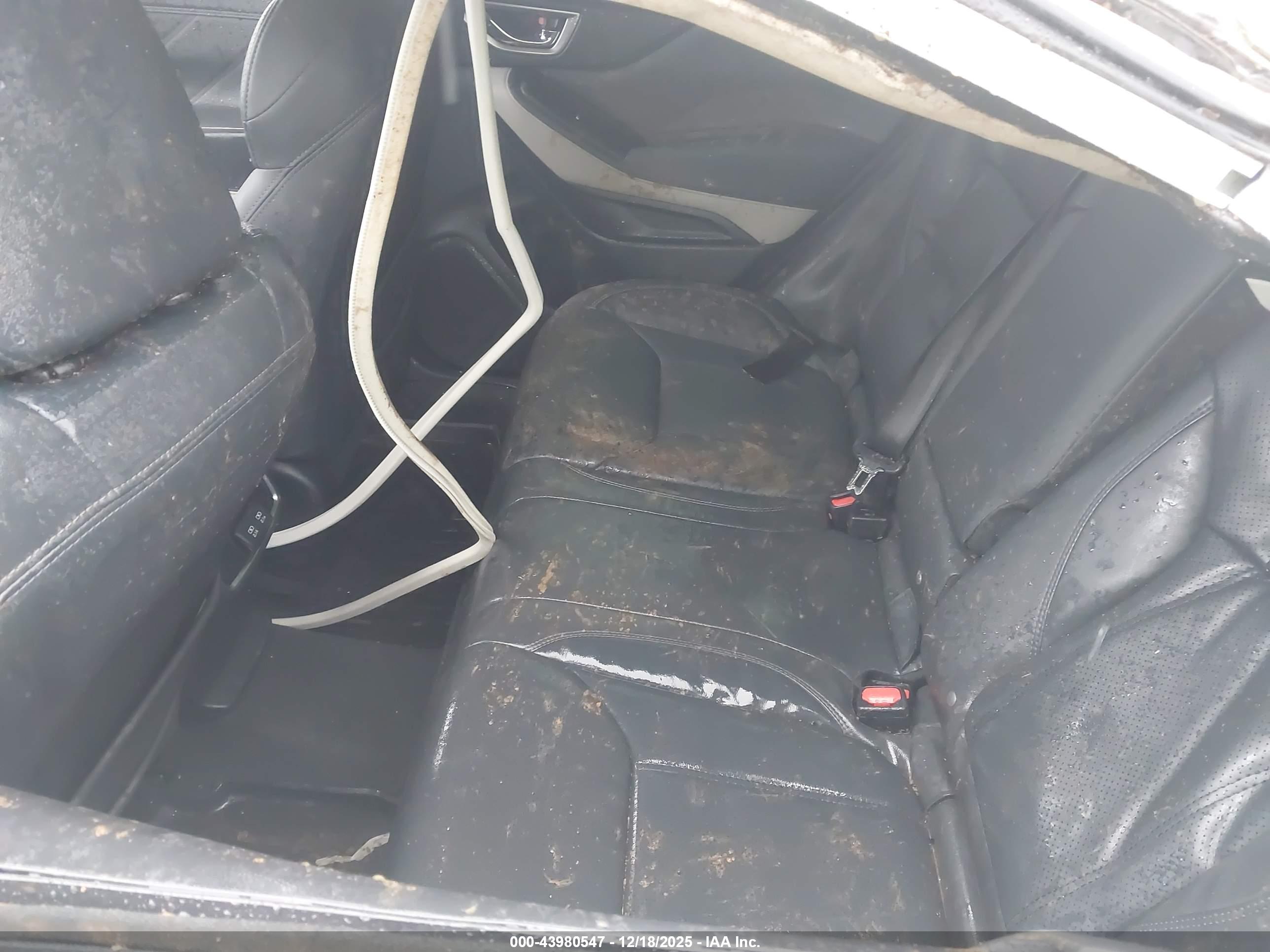 SUBARU FORESTER image 8