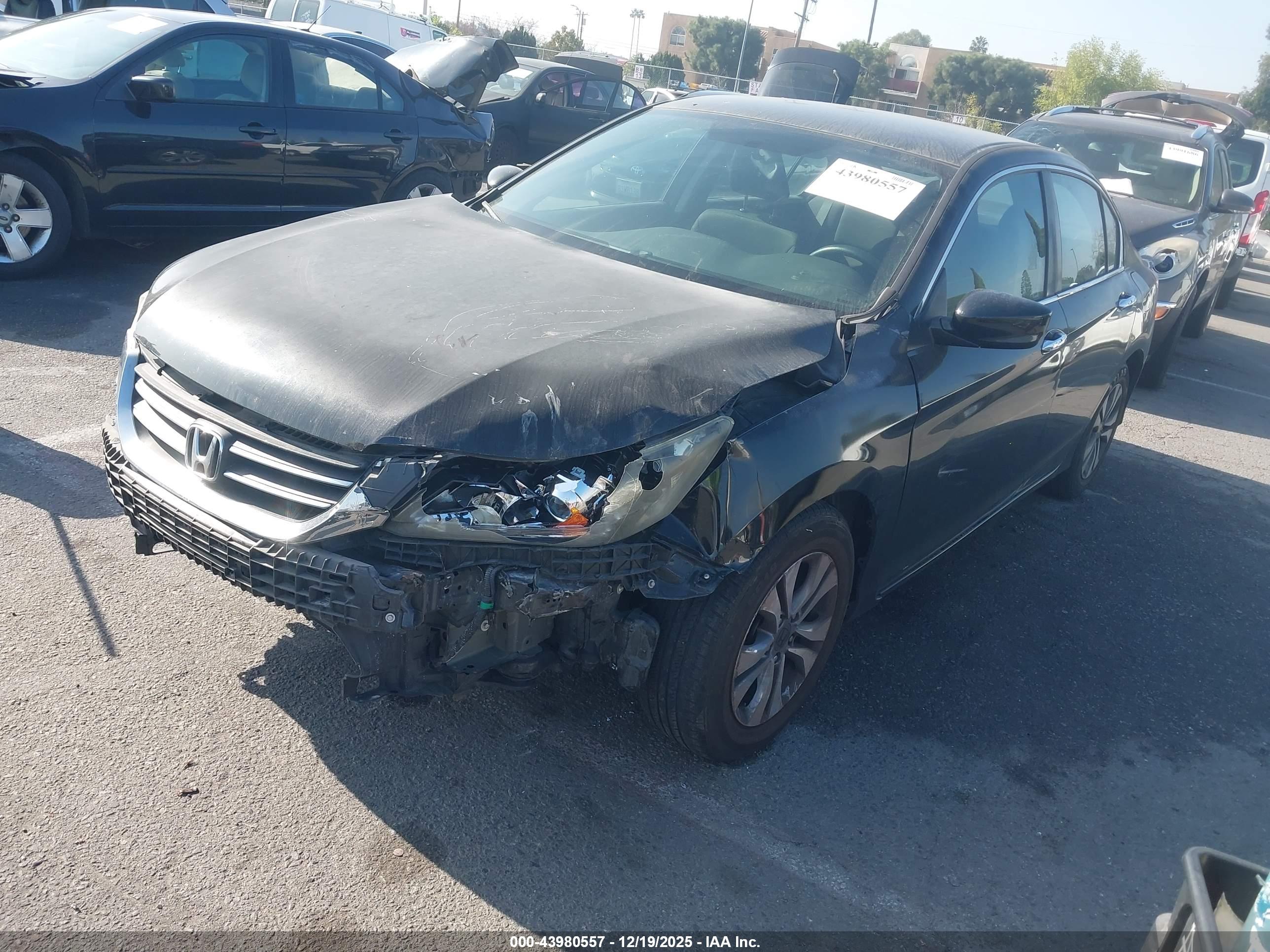 HONDA ACCORD image 2
