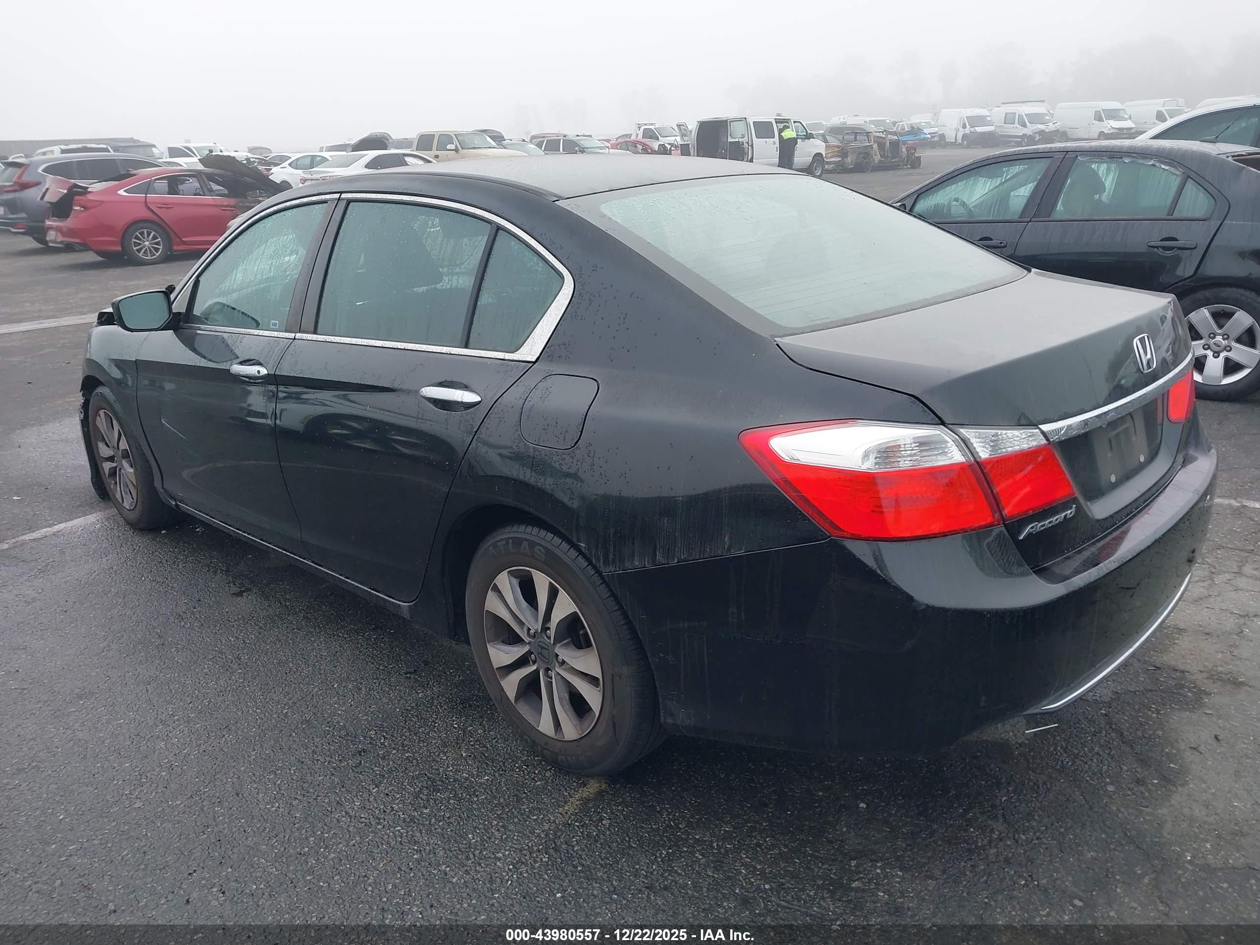 HONDA ACCORD image 3