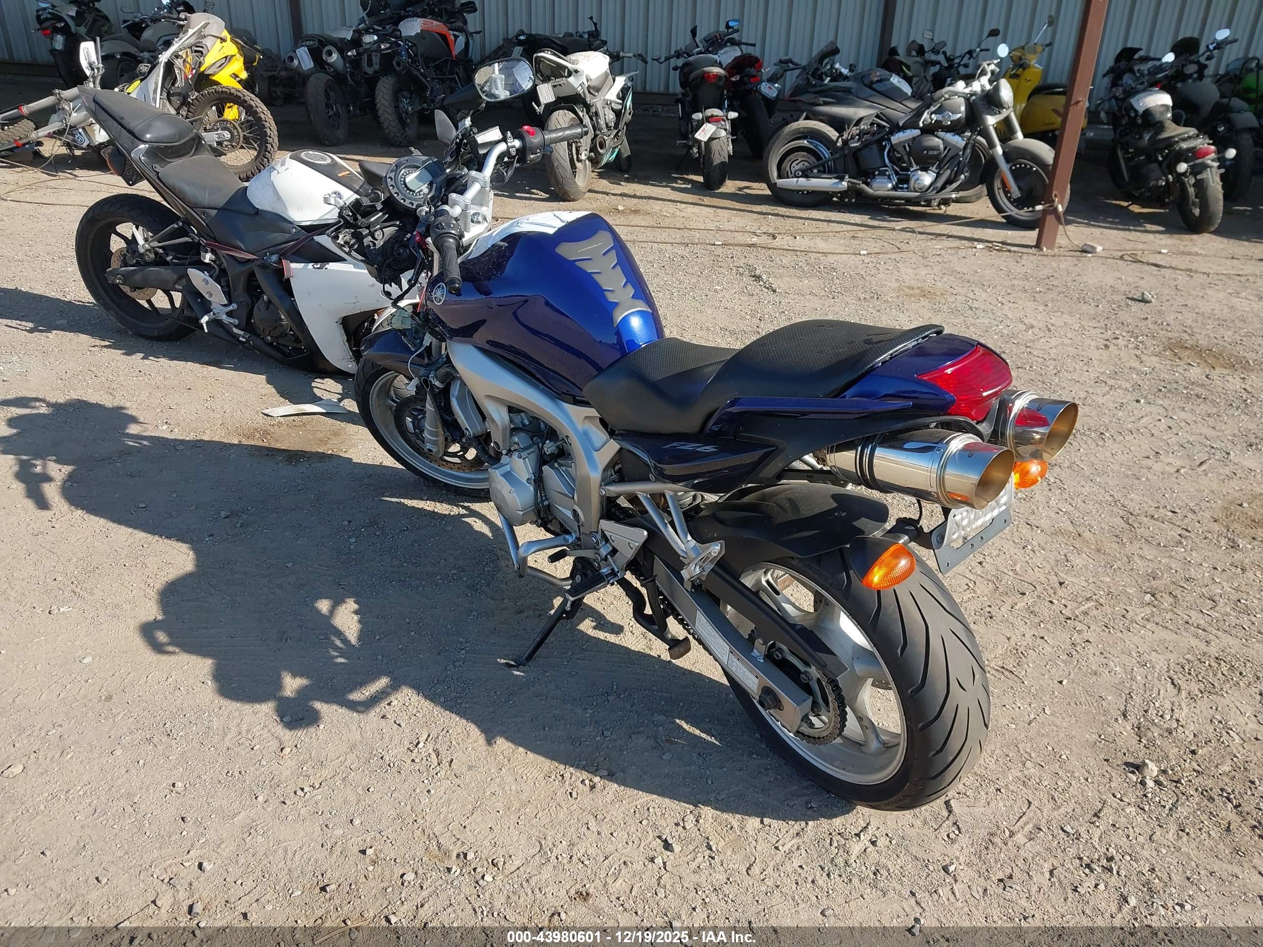 YAMAHA FZ6 image 3